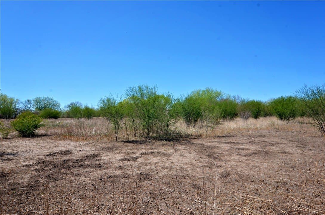 5 acres in Bee County gallery image 2