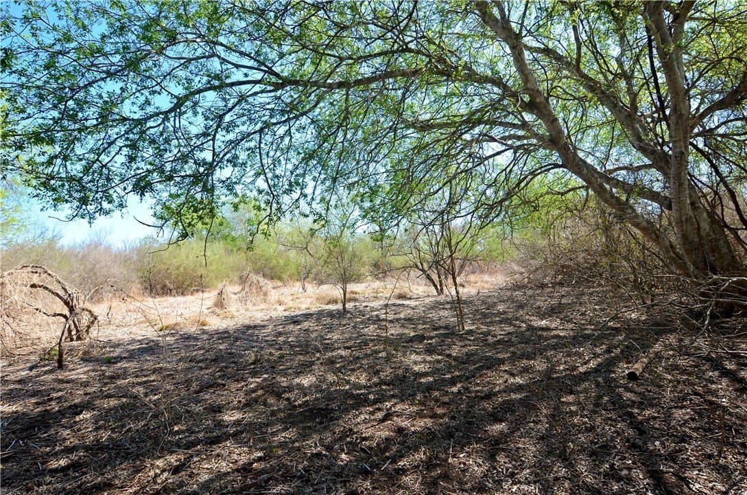 5 acres in Bee County featured view