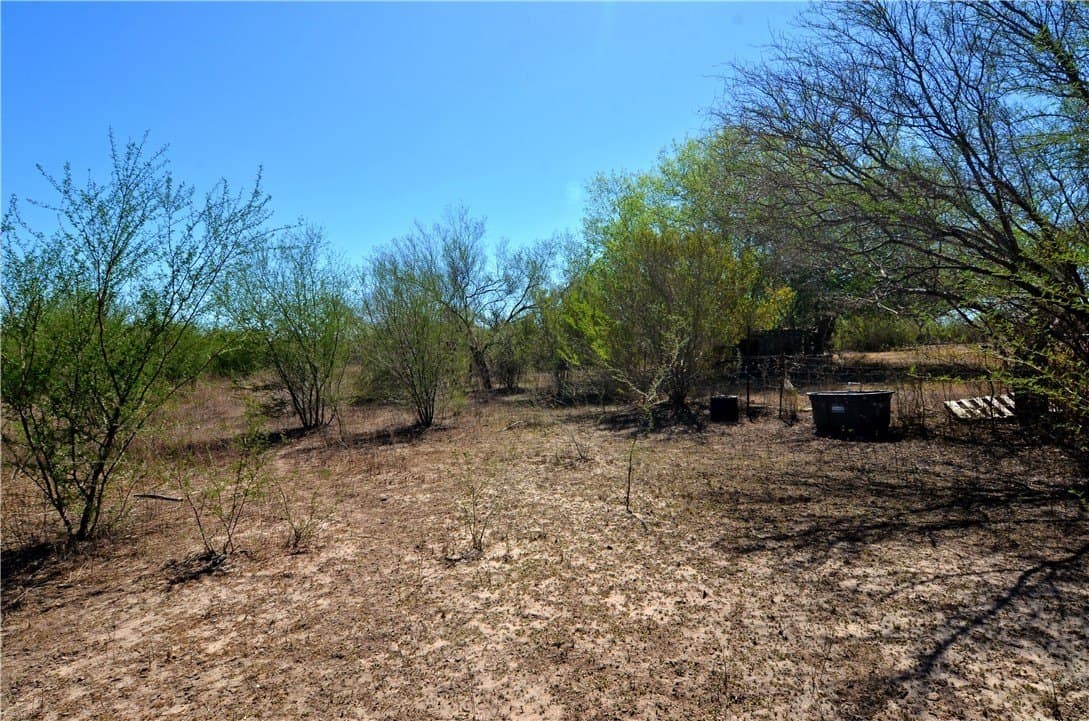 5 acres in Bee County gallery image 3