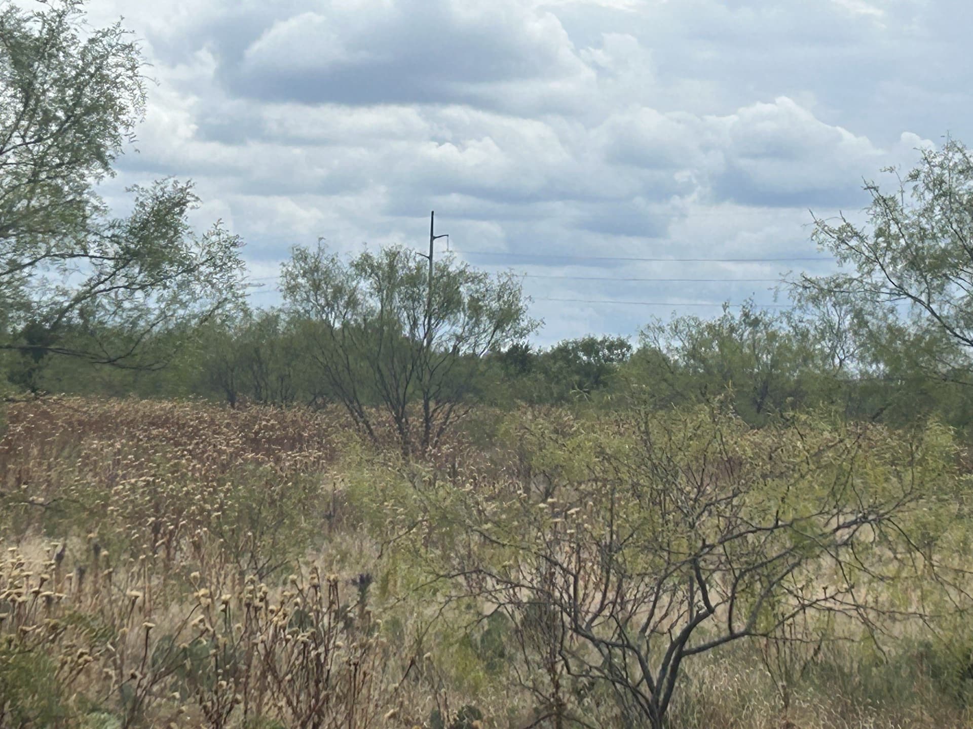 90.71 acres in Palo Pinto County - photo 9