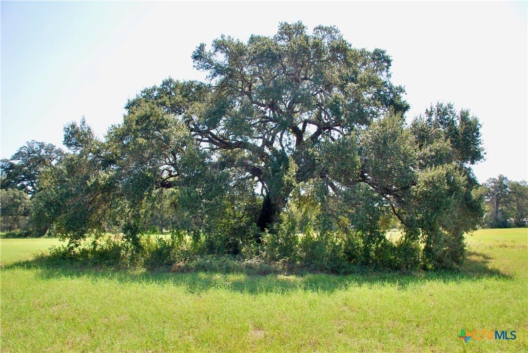 2.01 acres in Fayette County gallery image 4