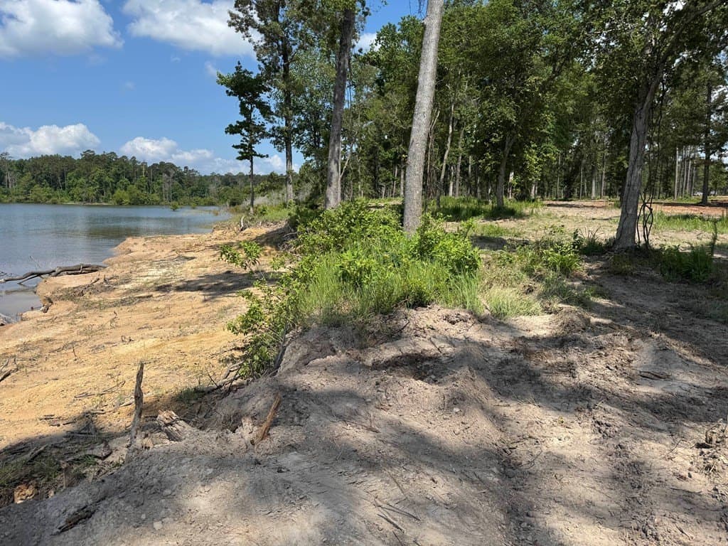 4 acres in Texas County - photo 8