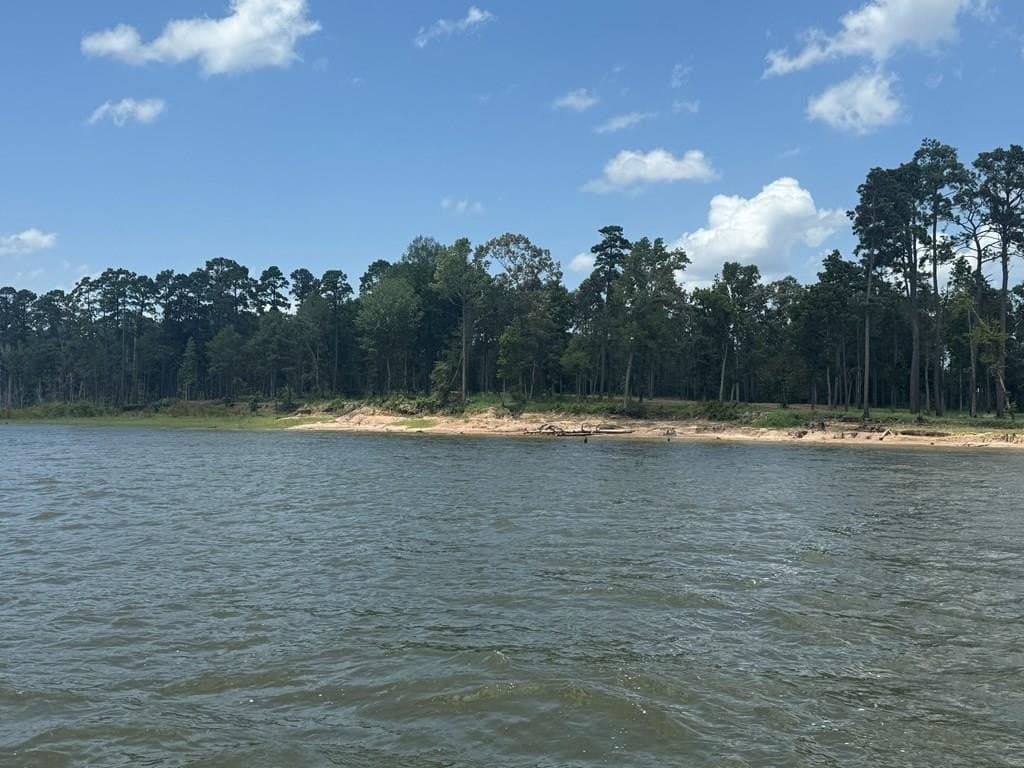 4 acres in Texas County - photo 26