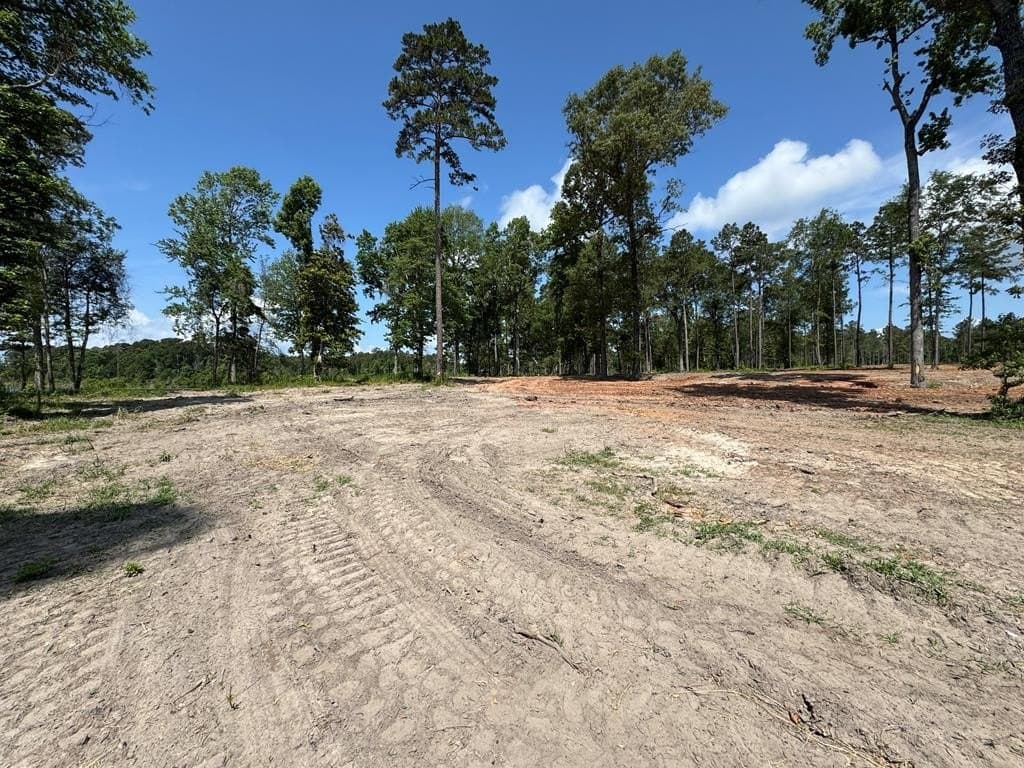 4 acres in Texas County - photo 6