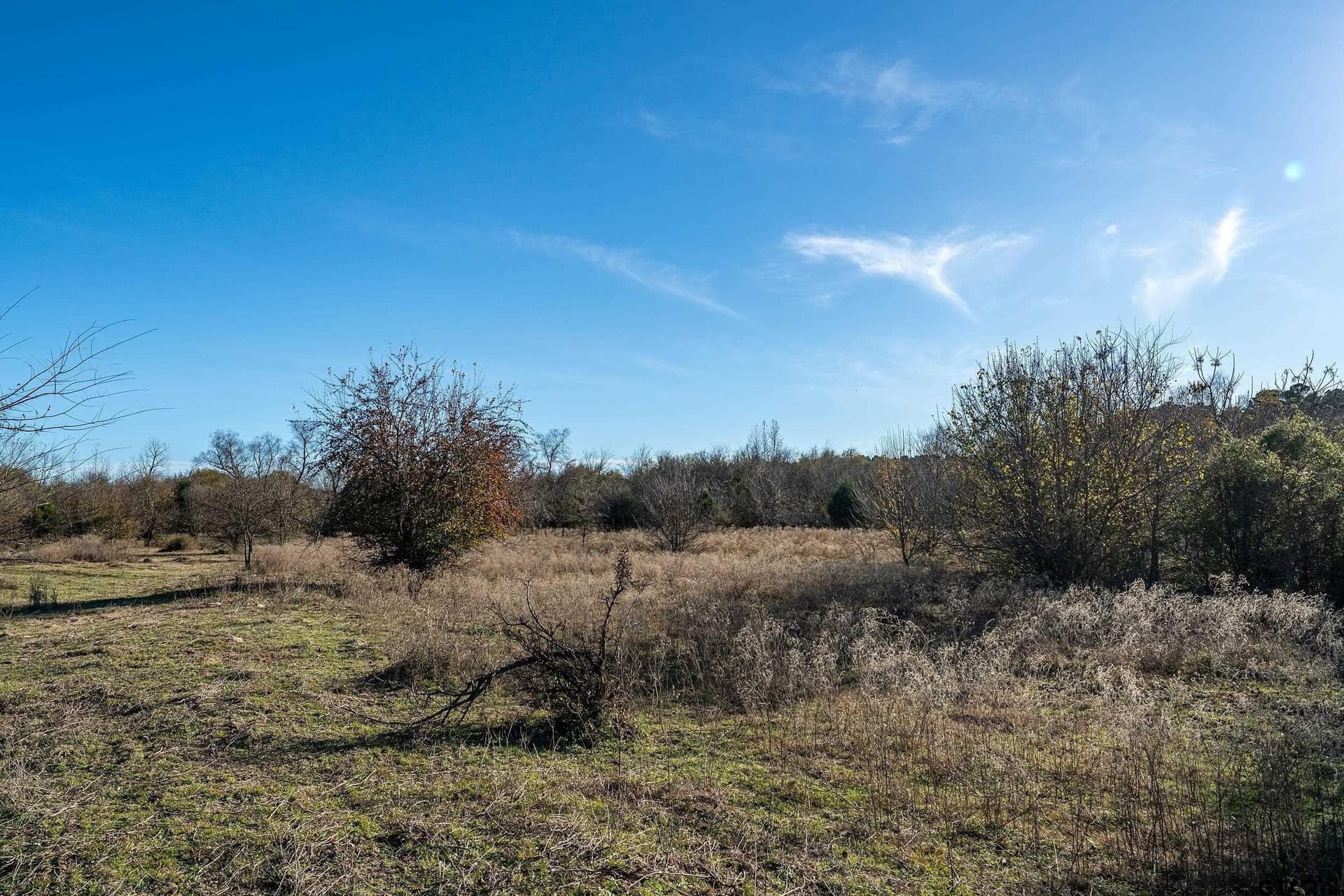 30.93 acres in Smith County featured view