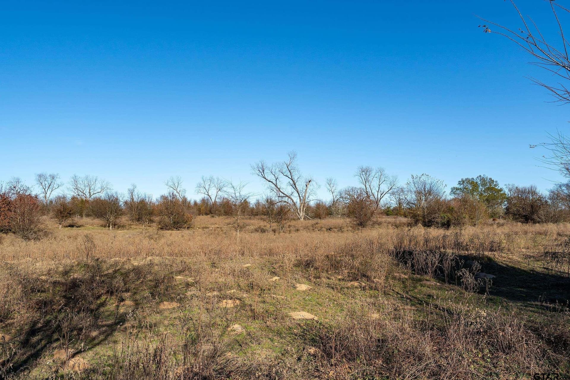 30.93 acres in Smith County gallery image 2