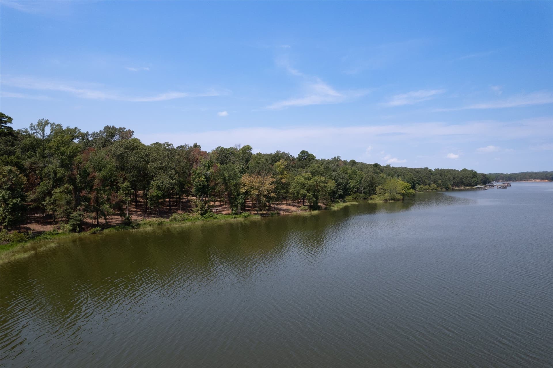 1.28 acres in Camp County - photo 9