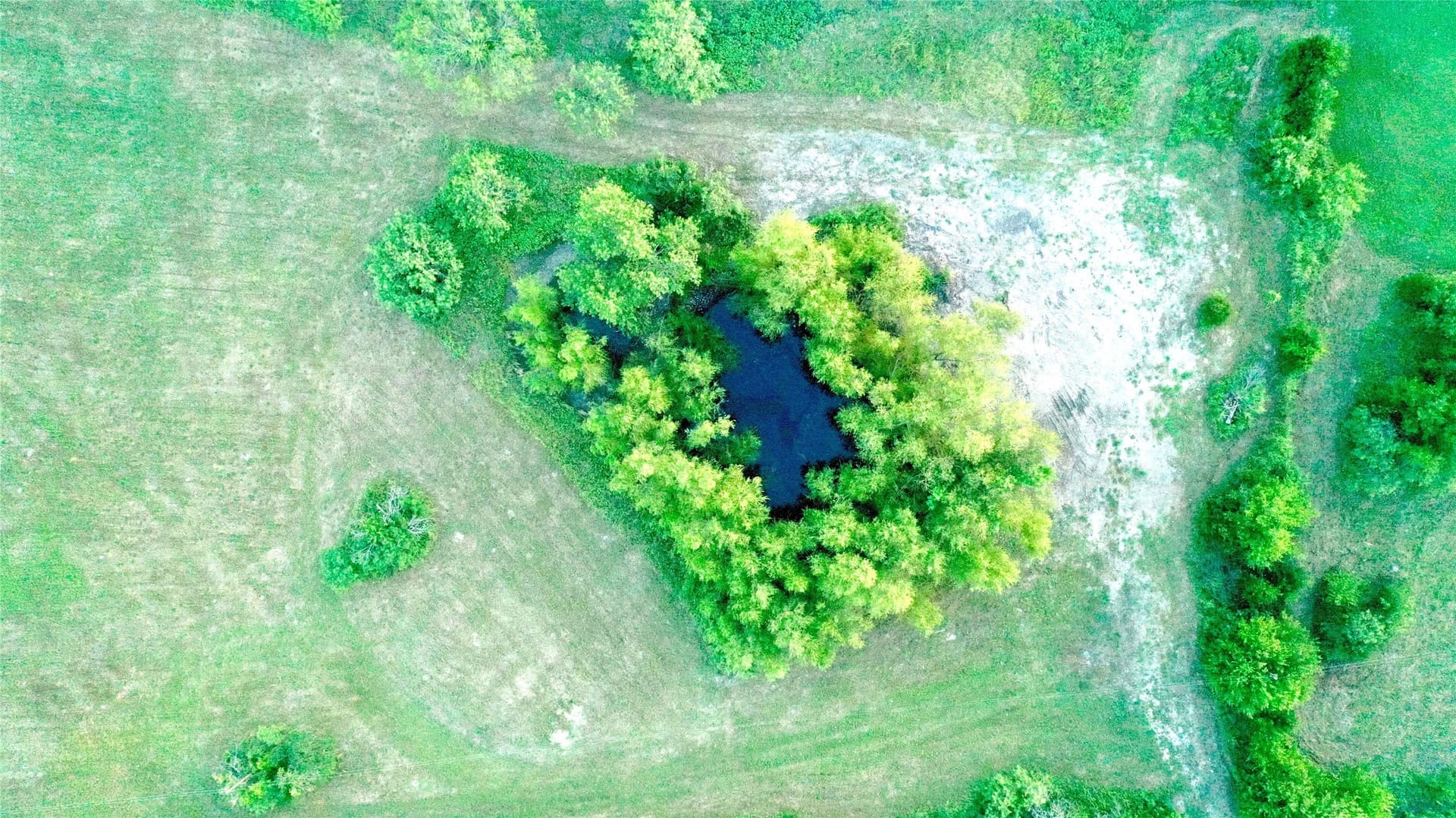 15.82 acres in Limestone County - photo 27