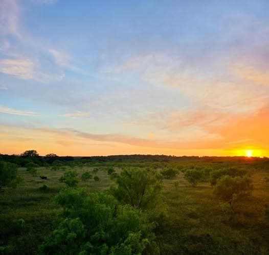 263.02 acres in Brown County - photo 40