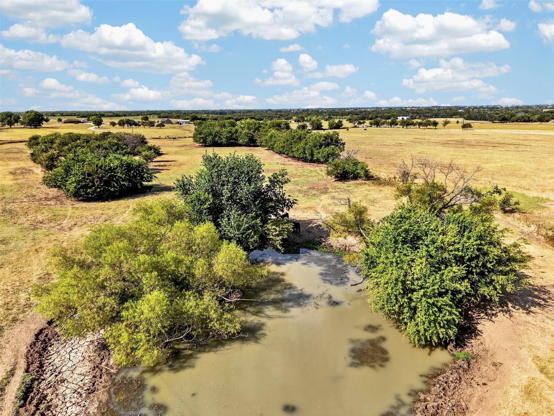 52 acres in Denton County - photo 11