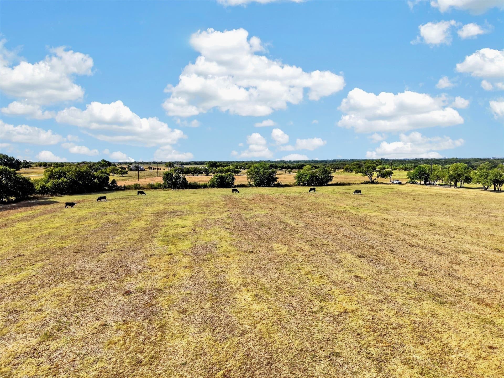 52 acres in Denton County - photo 12