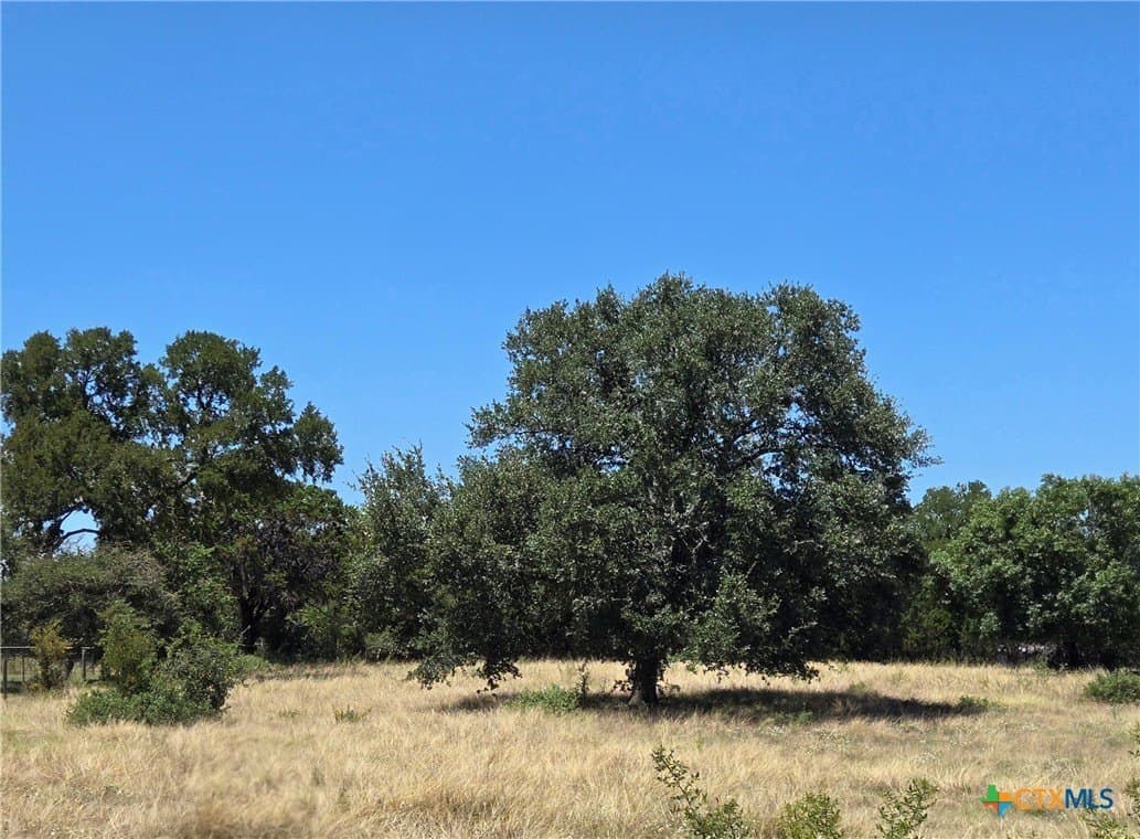 1.01 acres in Lampasas County - photo 2