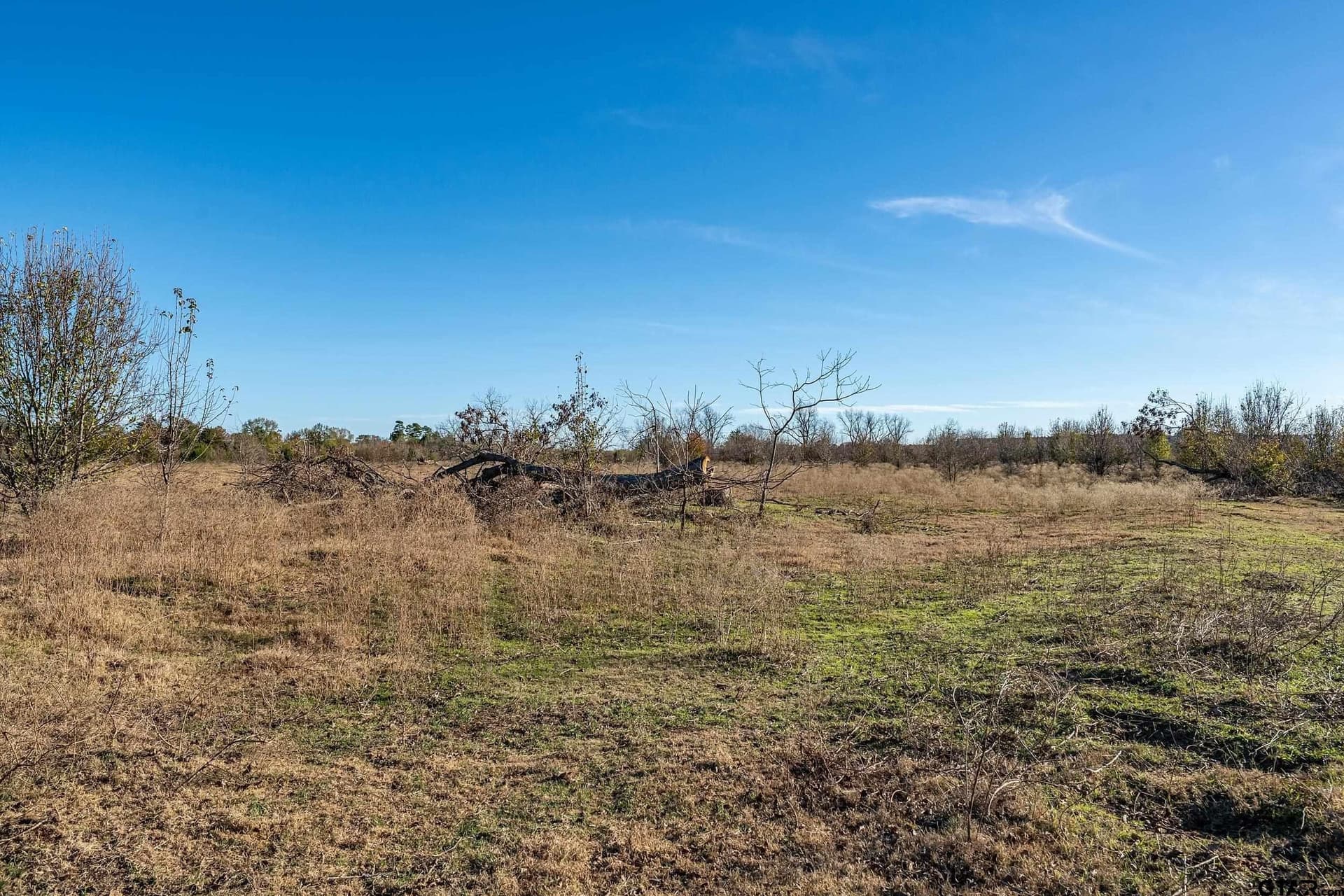 30.93 acres in Smith County - photo 8