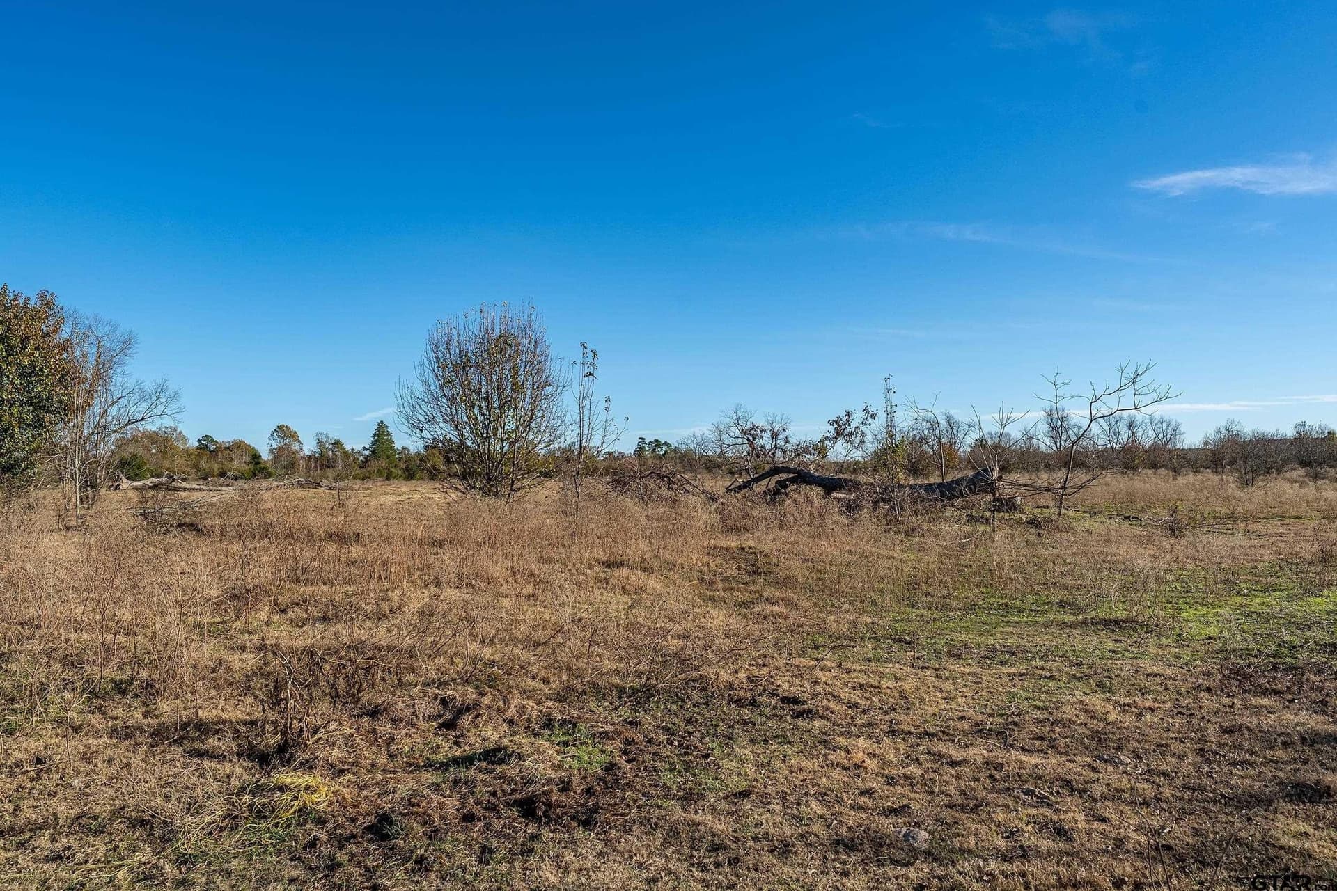 30.93 acres in Smith County - photo 7