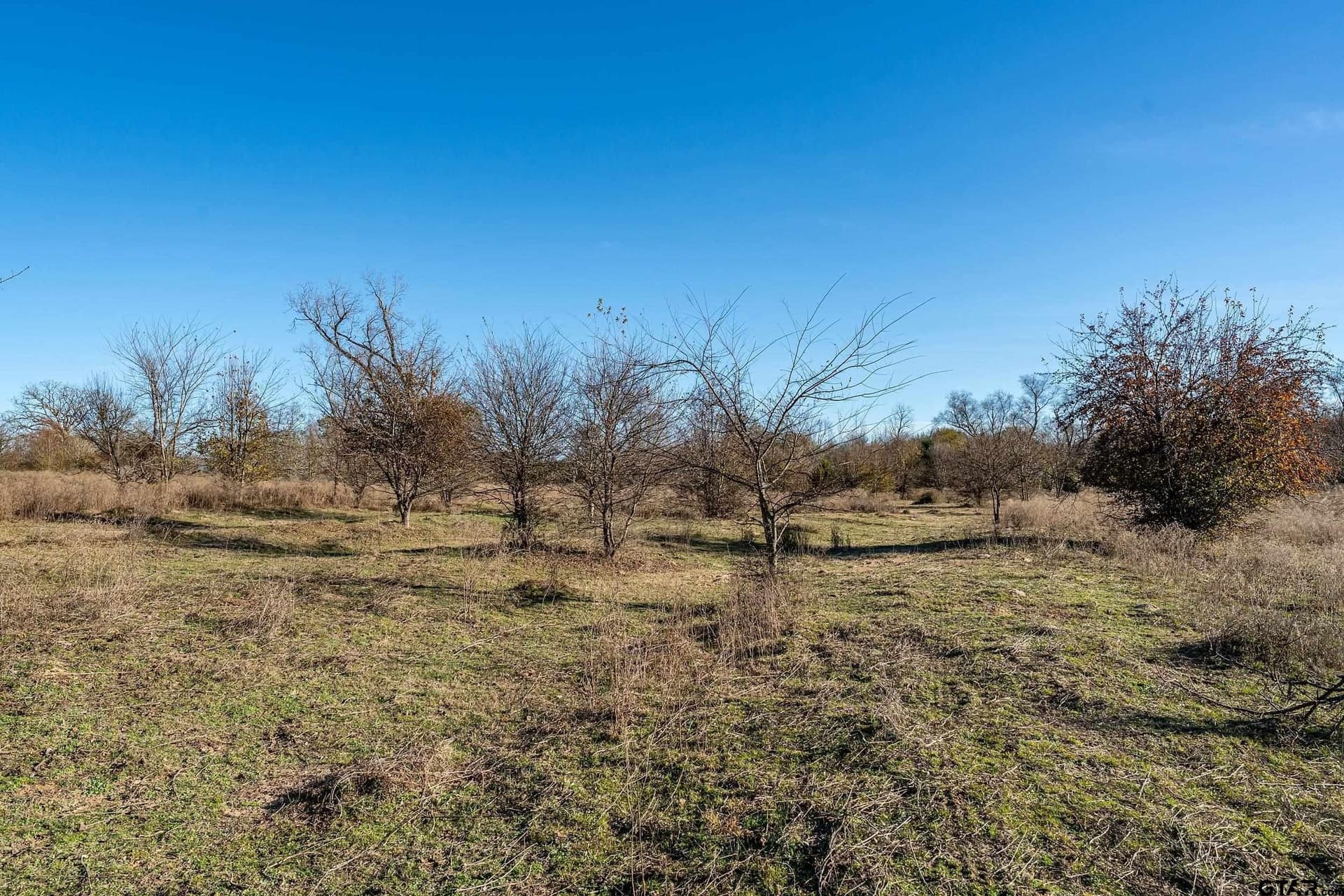 30.93 acres in Smith County - photo 4