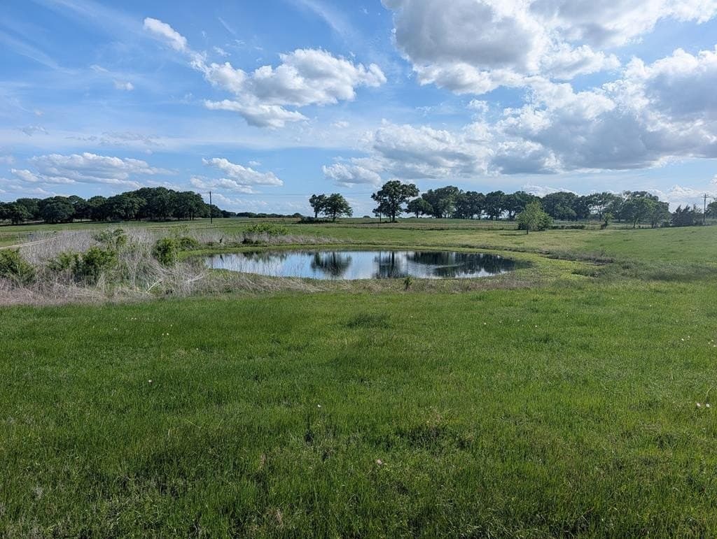 38.83 acres in Kaufman County - photo 39