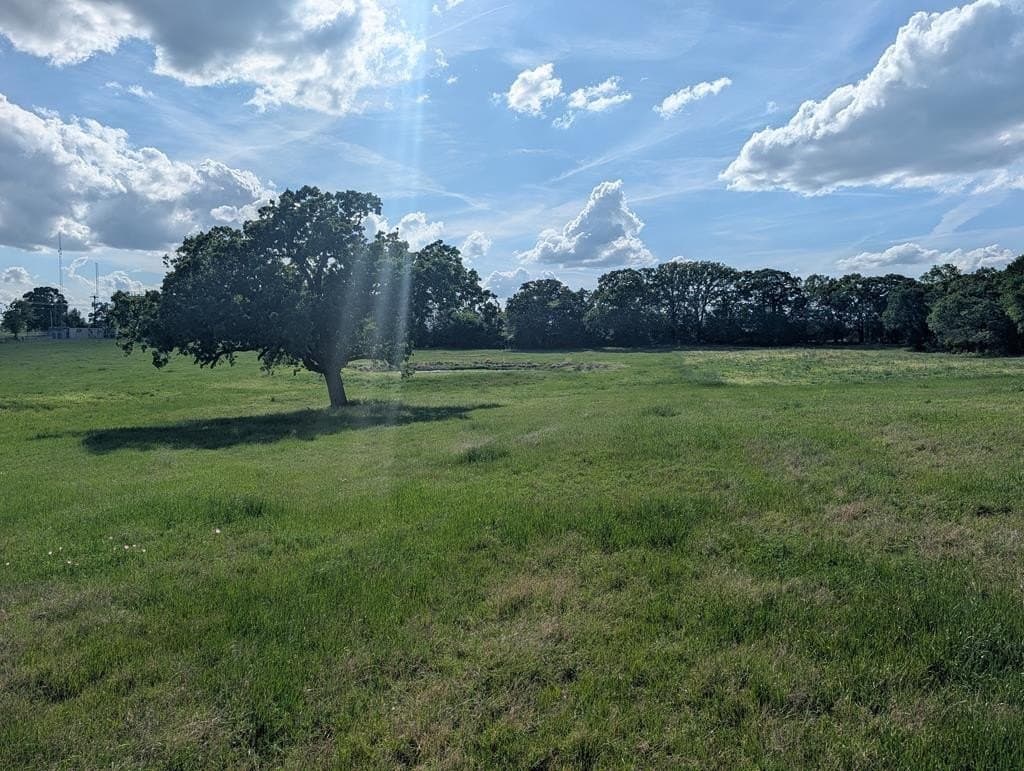 38.83 acres in Kaufman County - photo 38