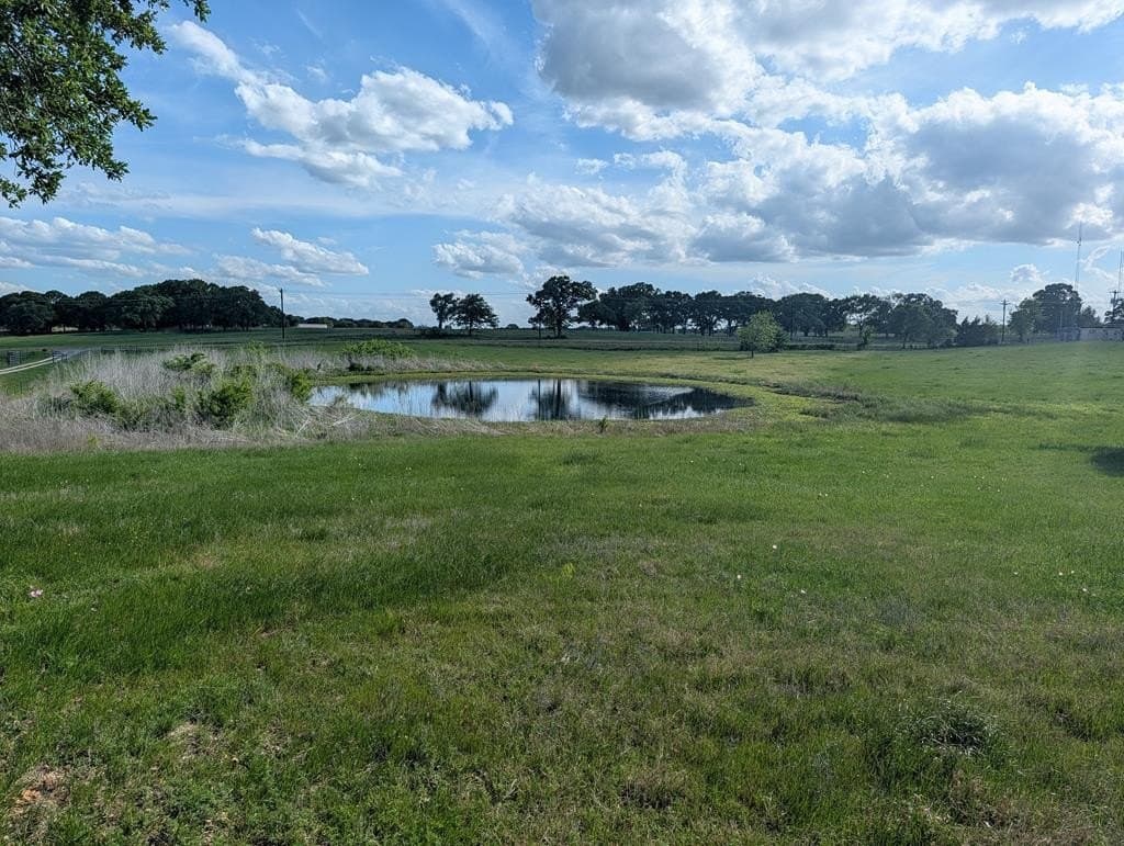 38.83 acres in Kaufman County - photo 37