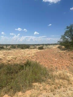 200 acres in Mitchell County gallery image 3