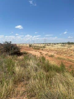 200 acres in Mitchell County gallery image 2