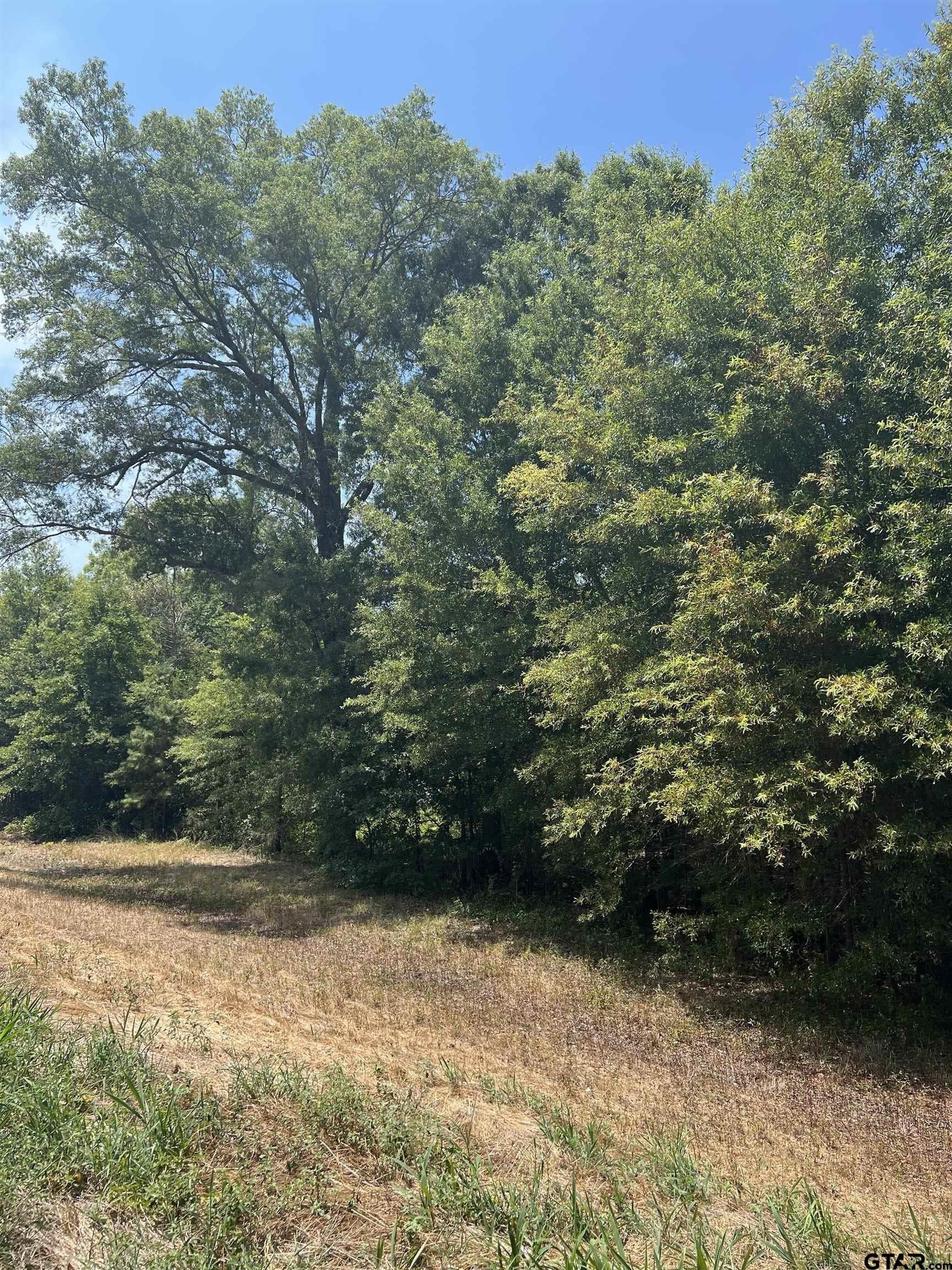 15 acres in Camp County