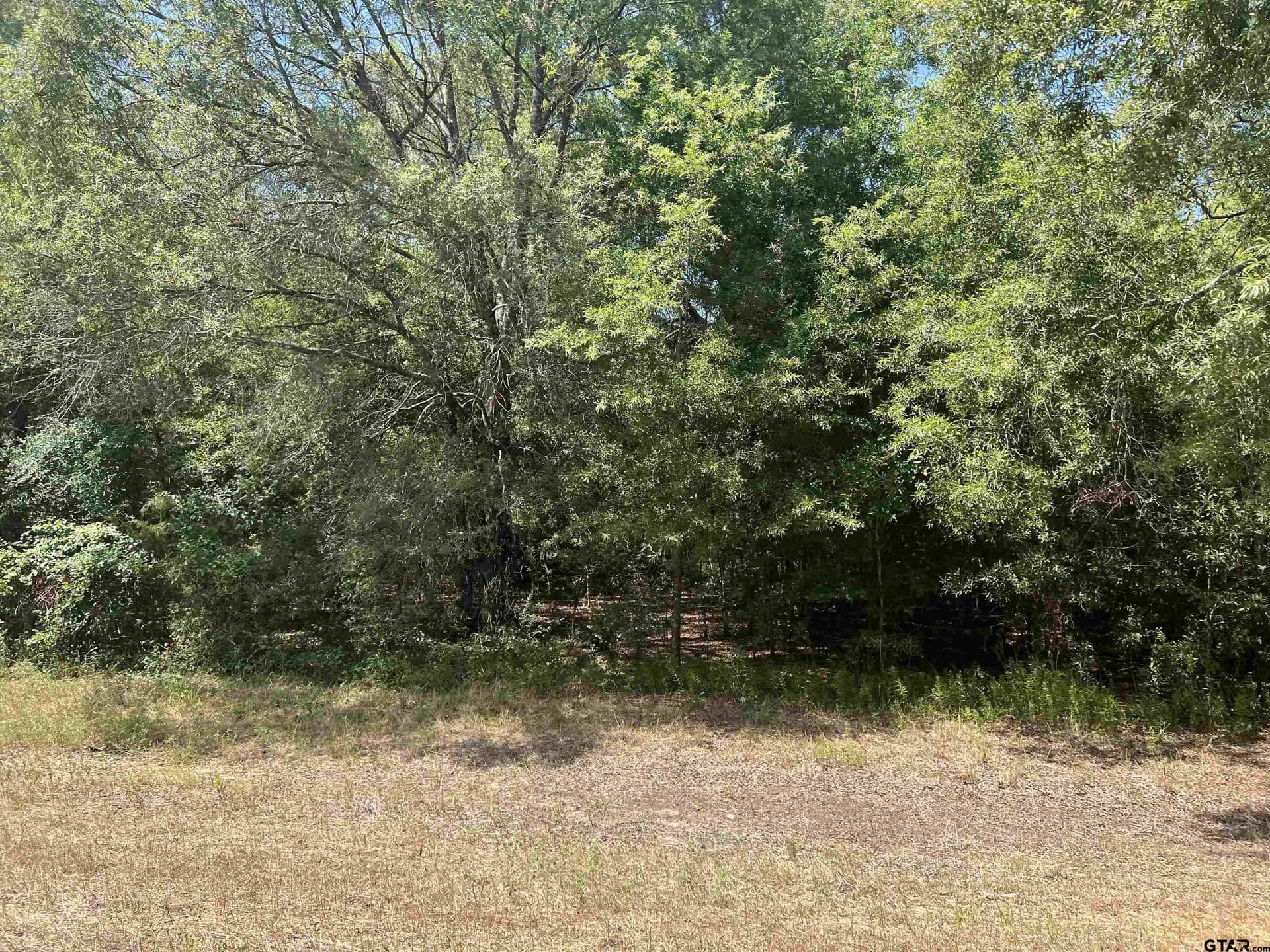 15 acres in Camp County gallery image 2