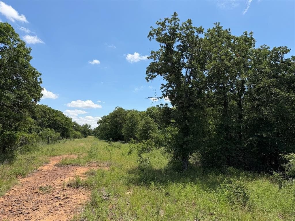 79.79 acres in Young County gallery image 4
