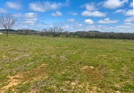 5.01 acres in Gillespie County - photo 8