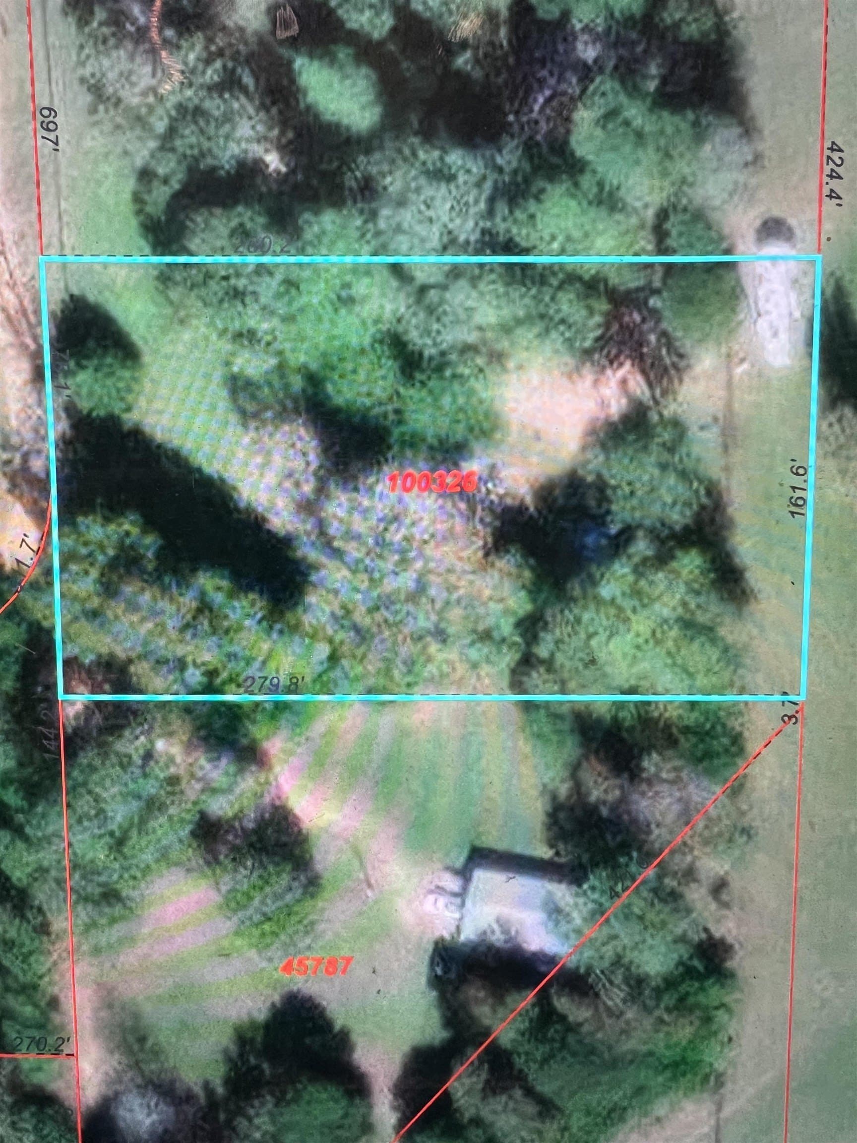 3.17 acres in Texas County gallery image 4