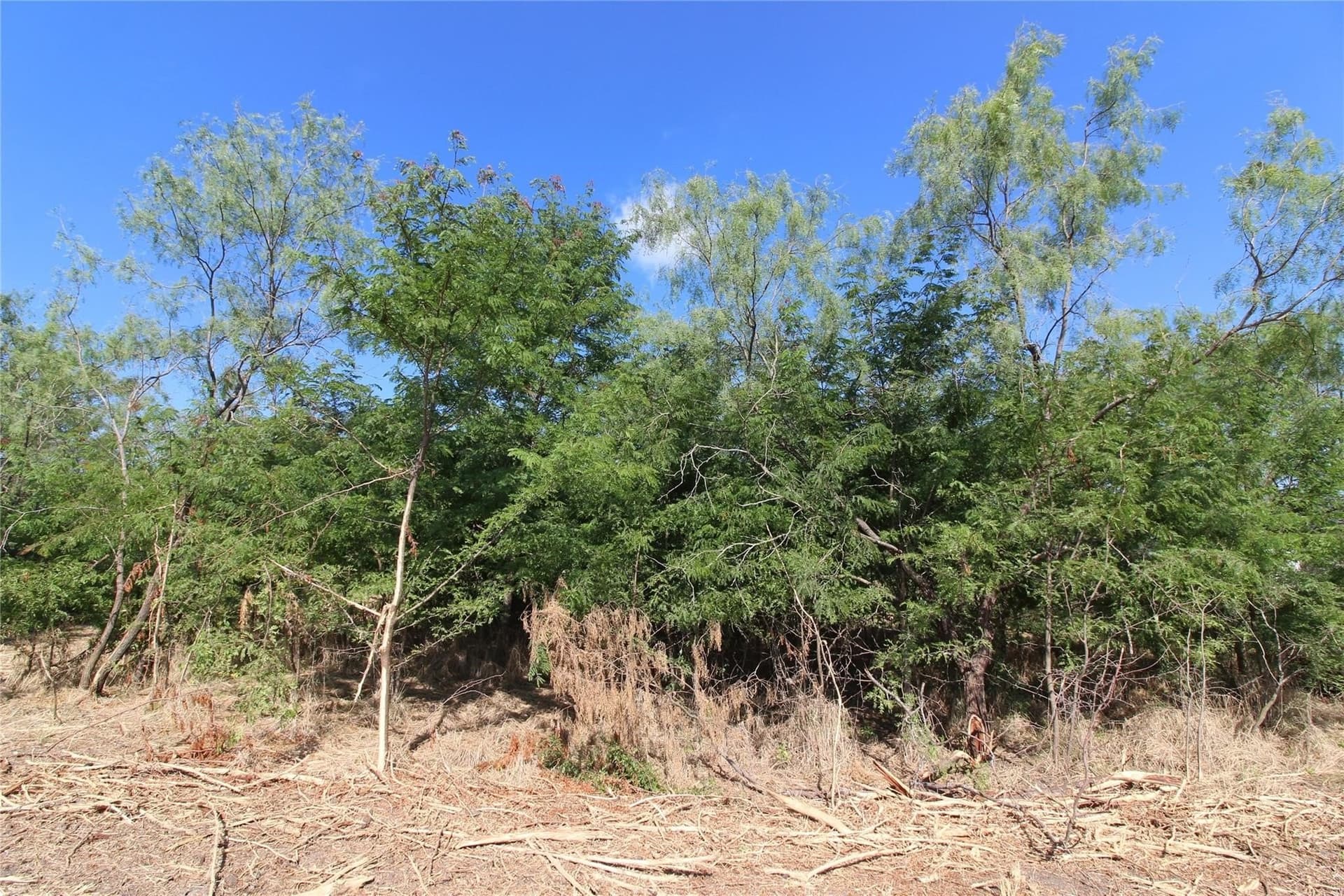6.04 acres in Kaufman County - photo 6