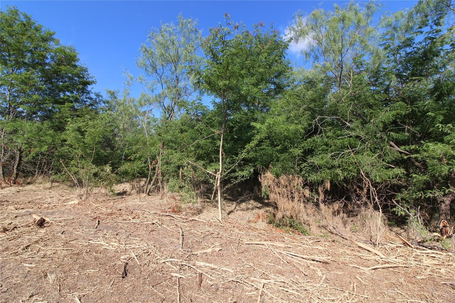 6.04 acres in Kaufman County - photo 7