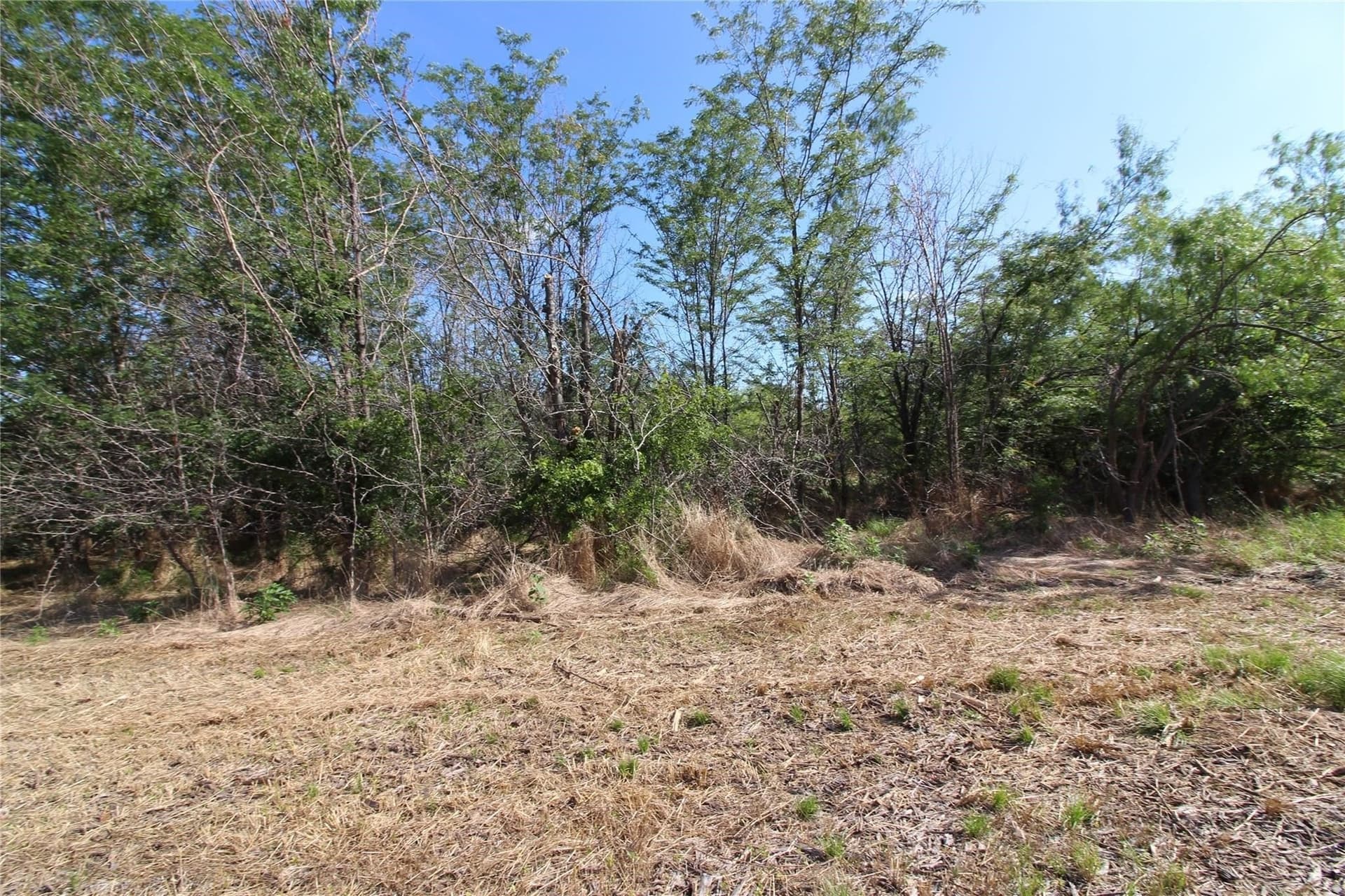6.04 acres in Kaufman County - photo 17