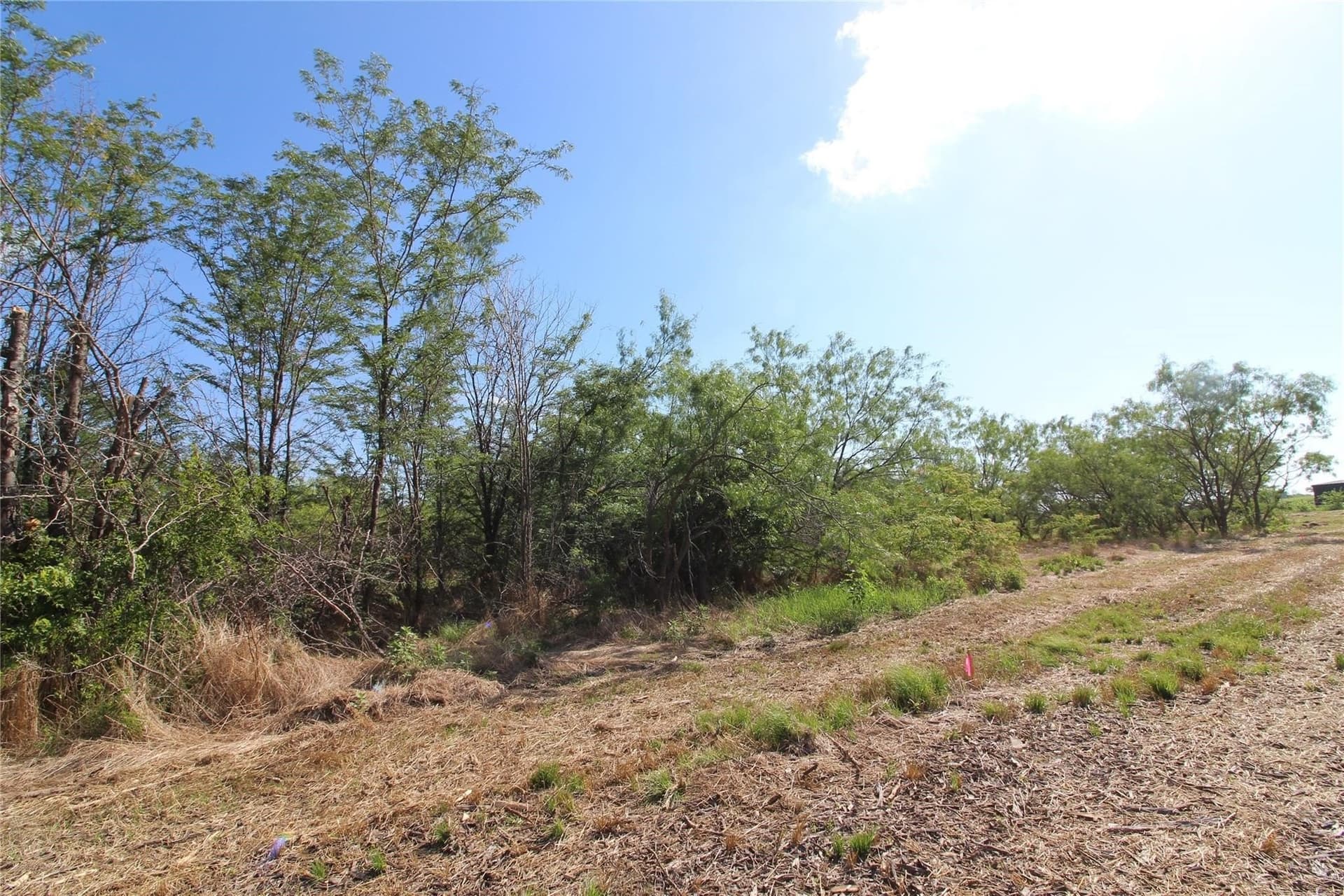 6.04 acres in Kaufman County - photo 19