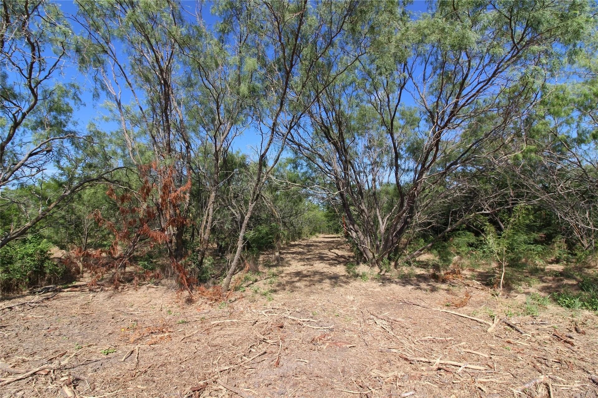 6.04 acres in Kaufman County - photo 25