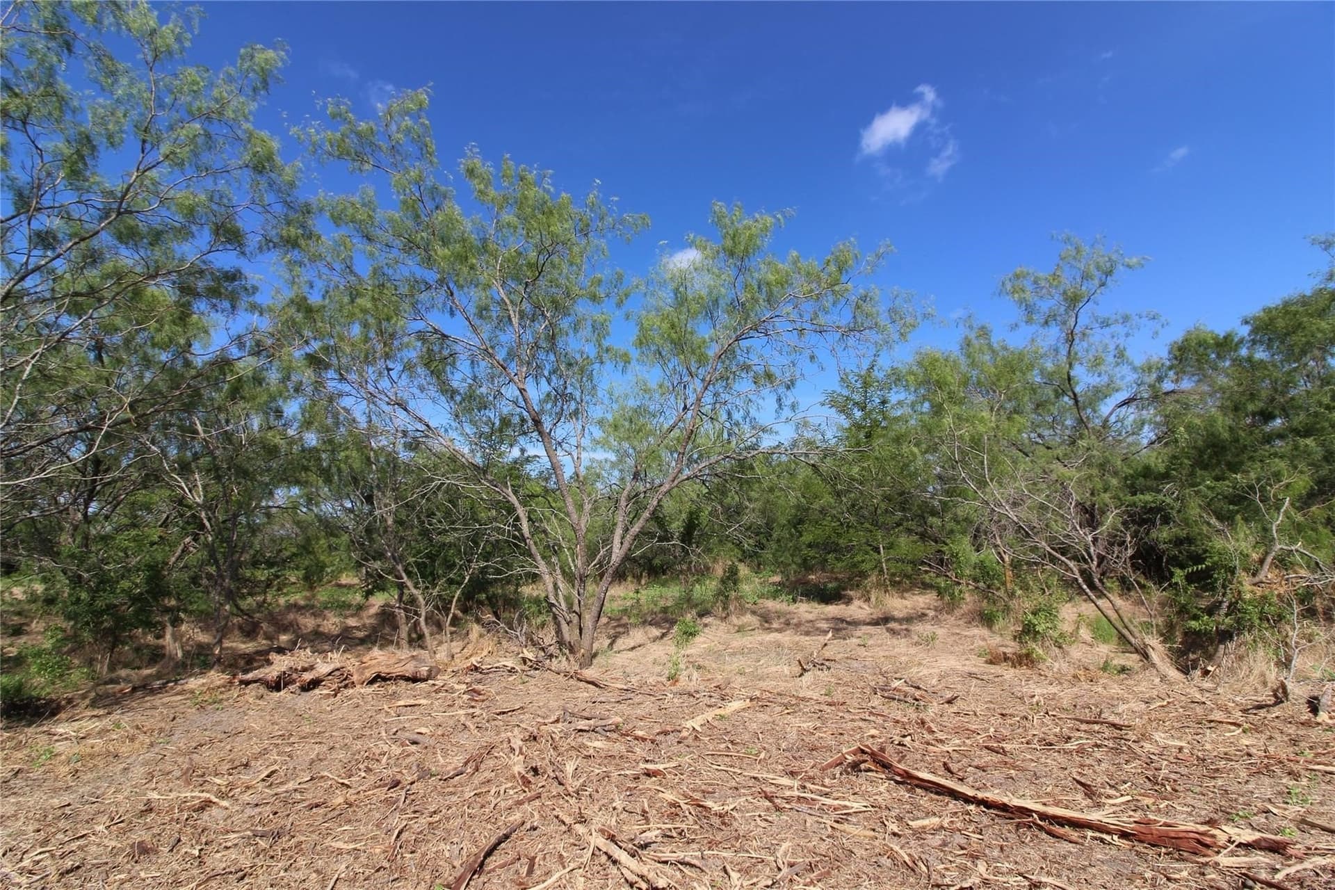 6.04 acres in Kaufman County - photo 24