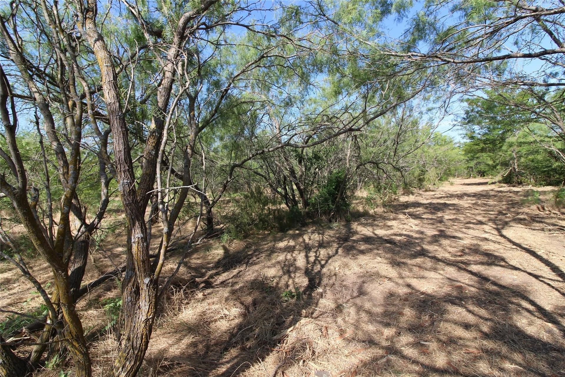 6.04 acres in Kaufman County - photo 27
