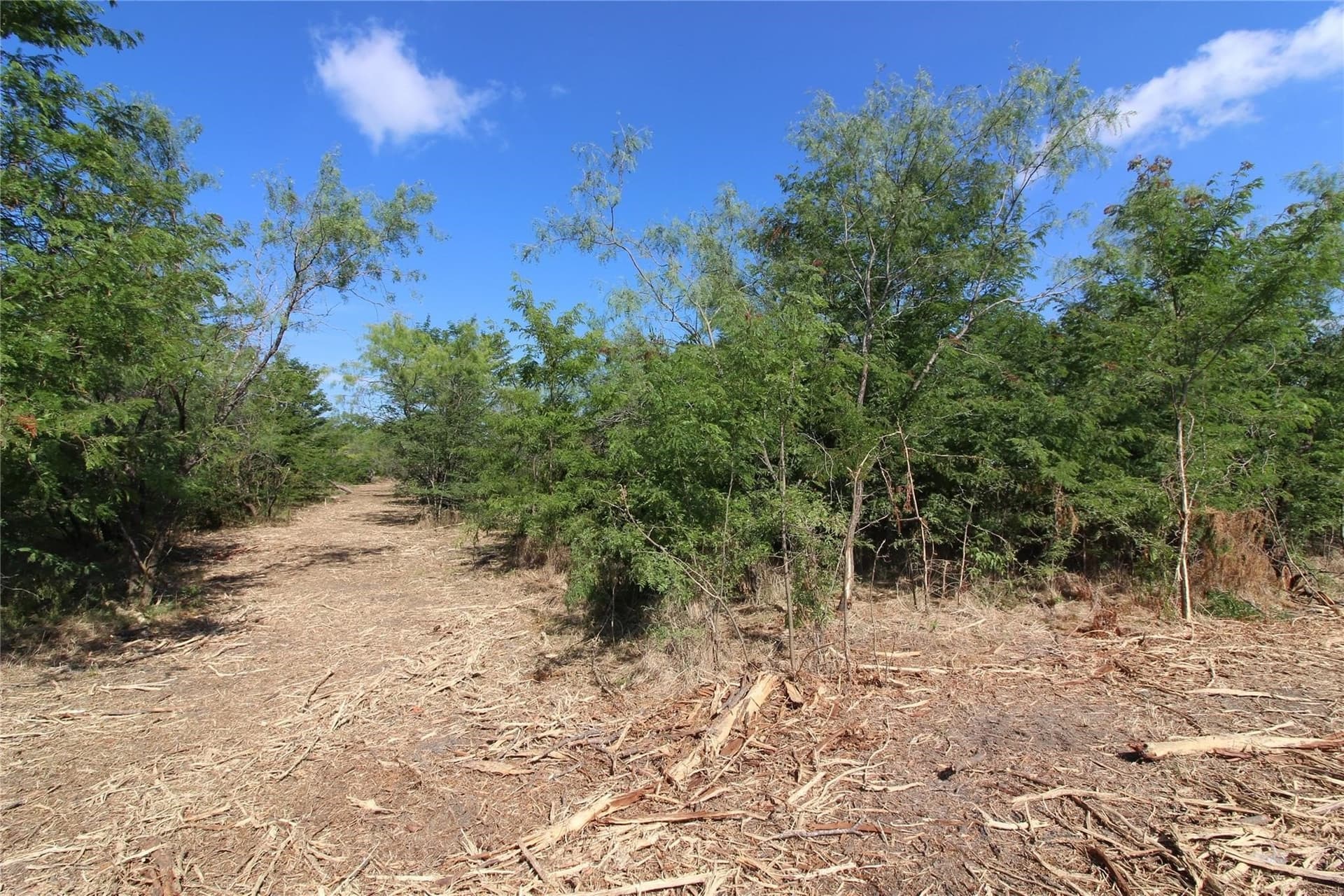 6.04 acres in Kaufman County gallery image 3