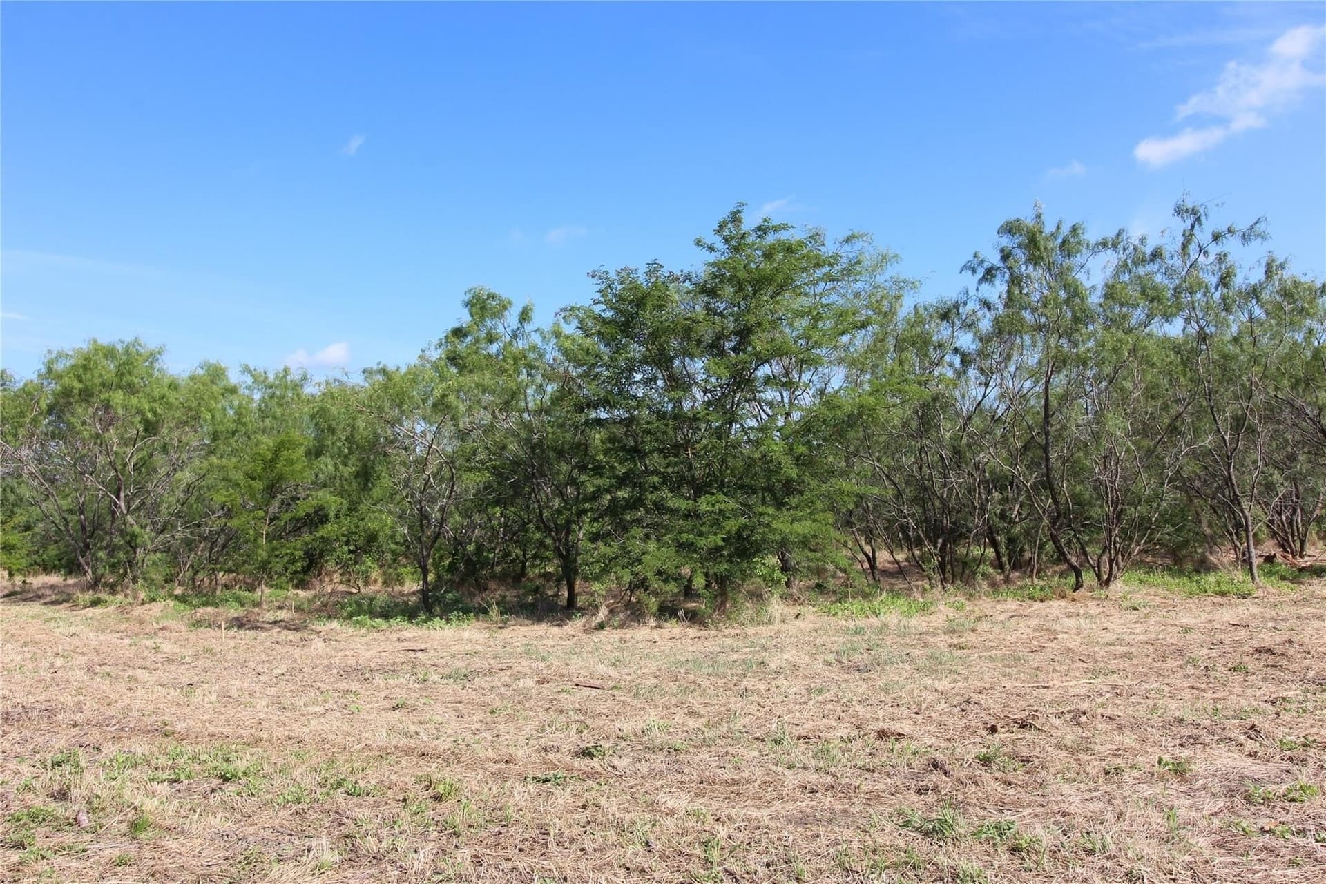 6.04 acres in Kaufman County - photo 21