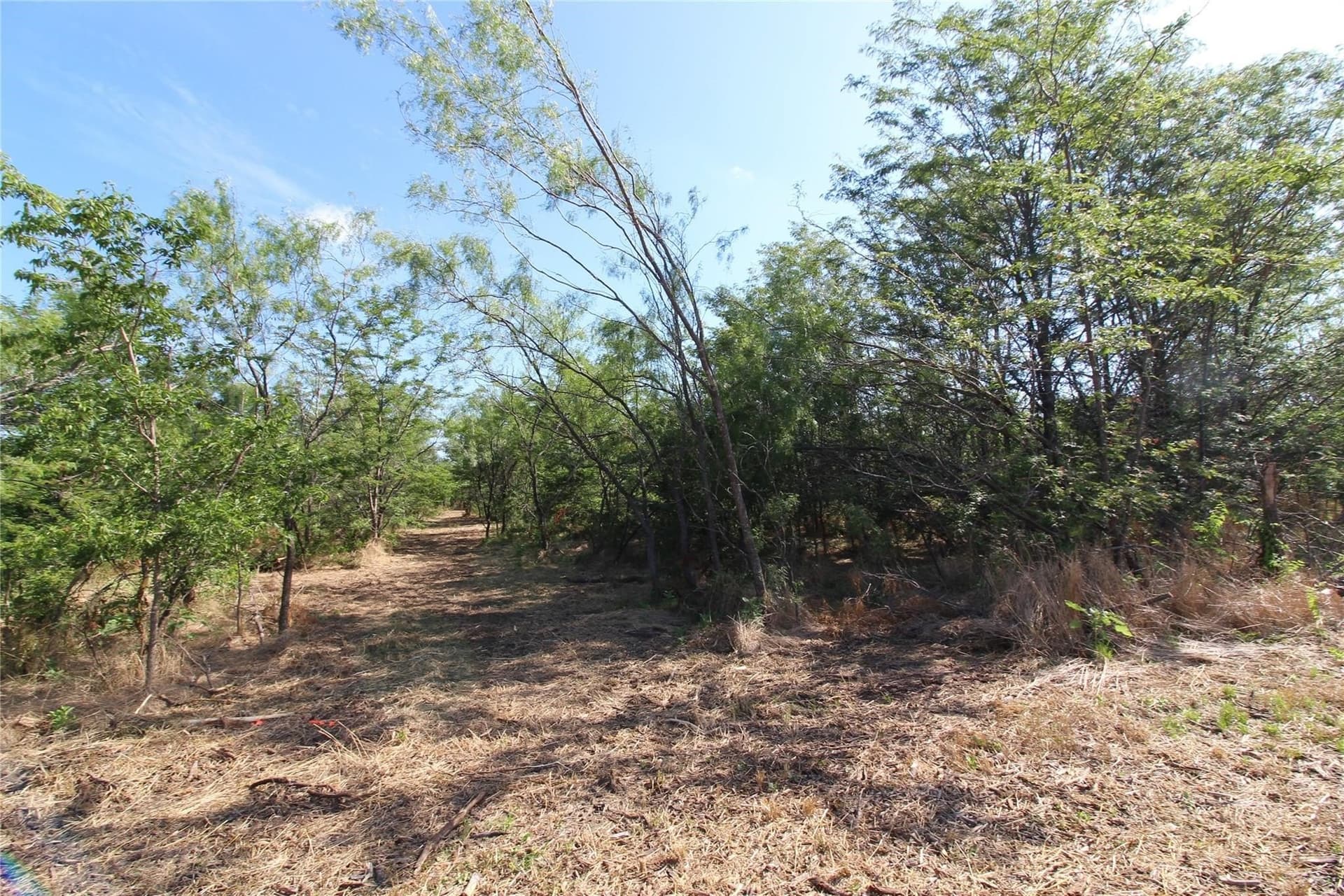 6.04 acres in Kaufman County - photo 15