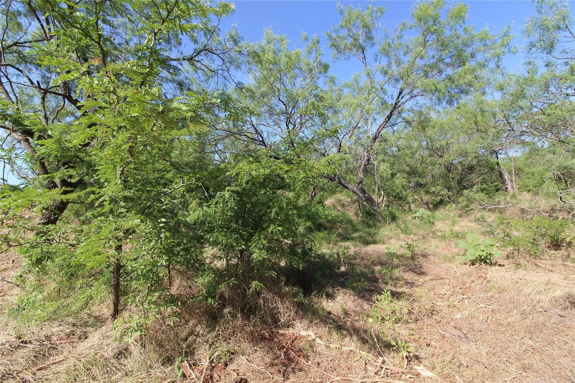 6.04 acres in Kaufman County - photo 11