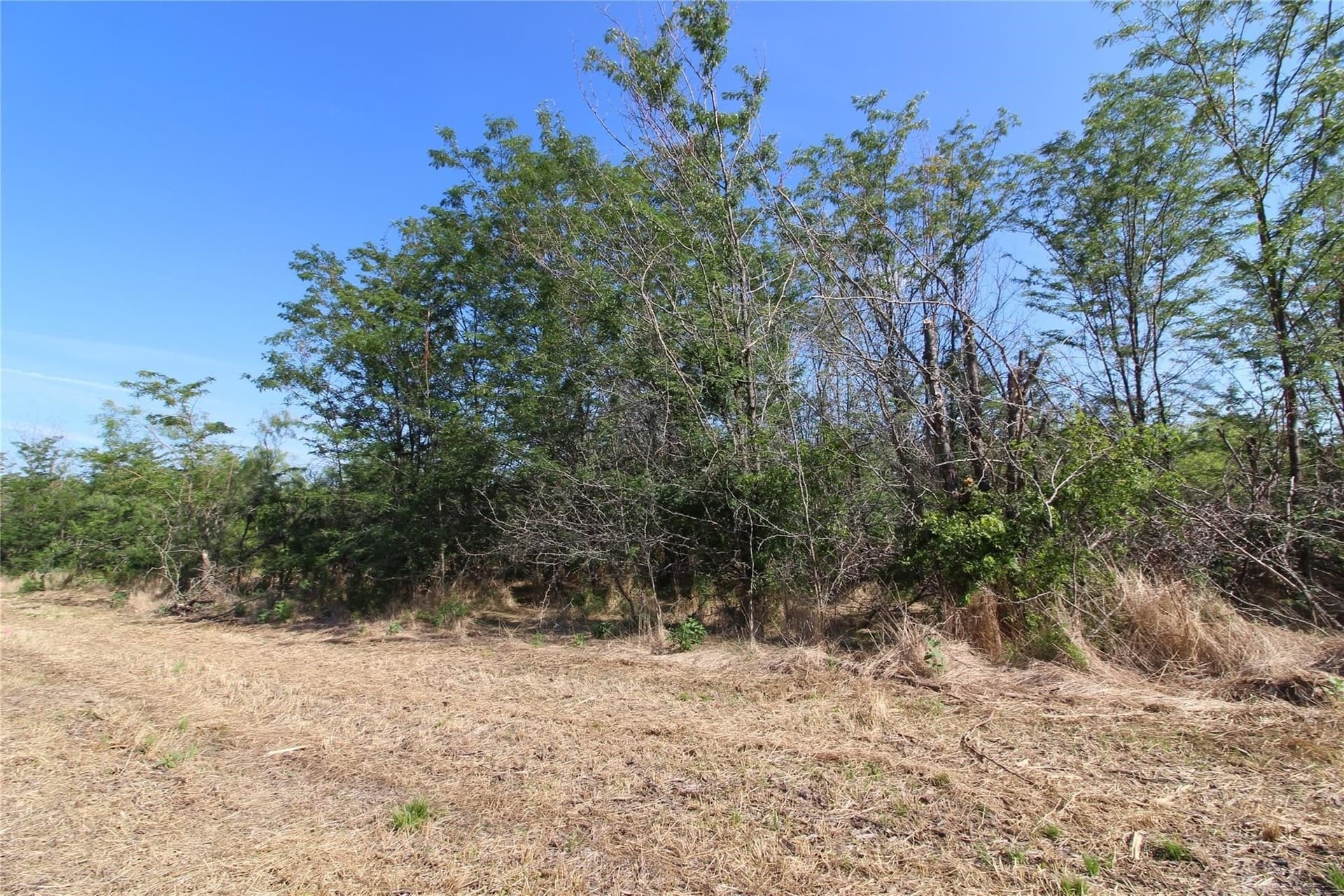 6.04 acres in Kaufman County - photo 18