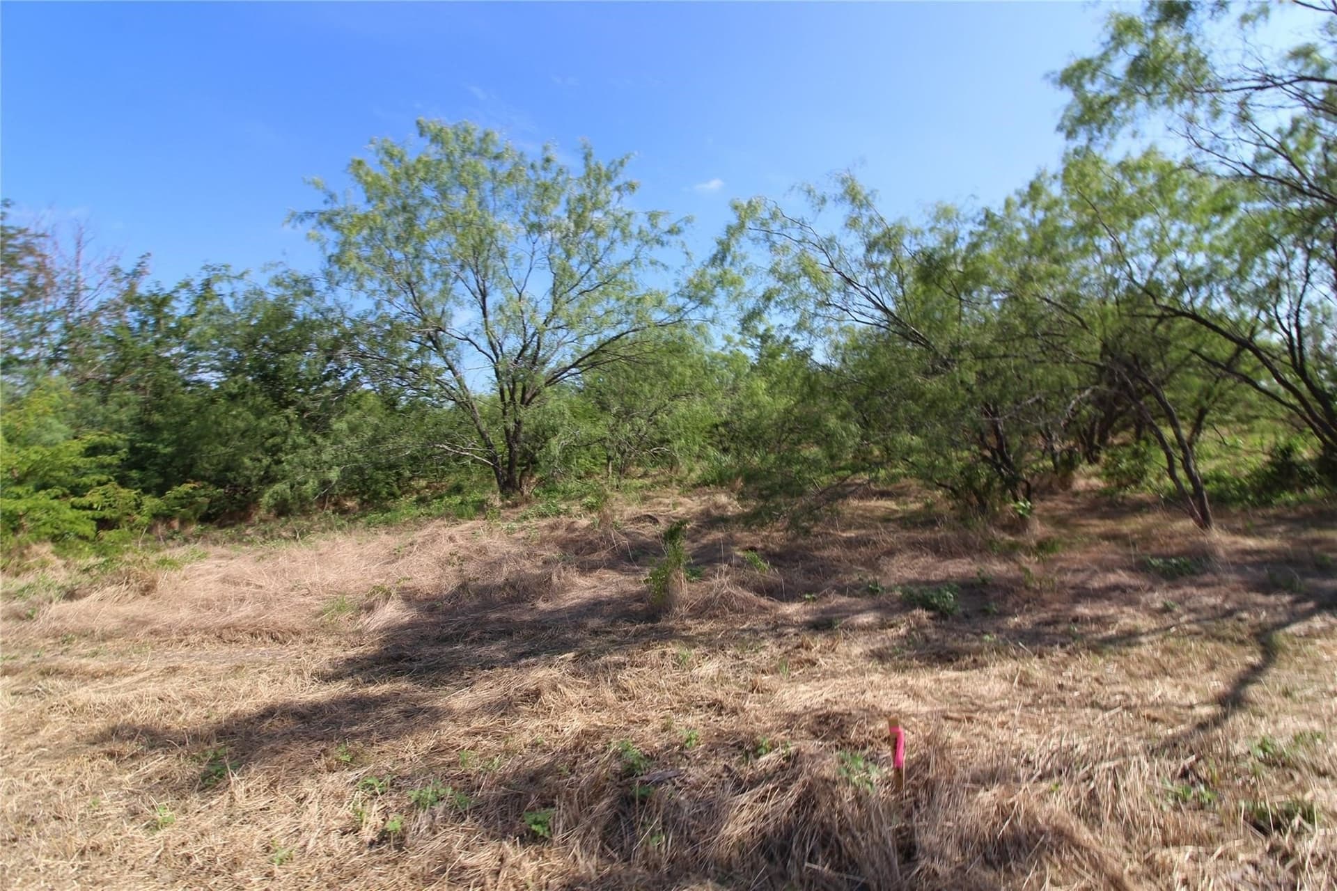 6.04 acres in Kaufman County - photo 20