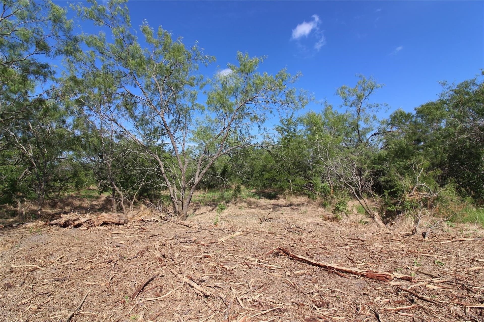 6.04 acres in Kaufman County - photo 23