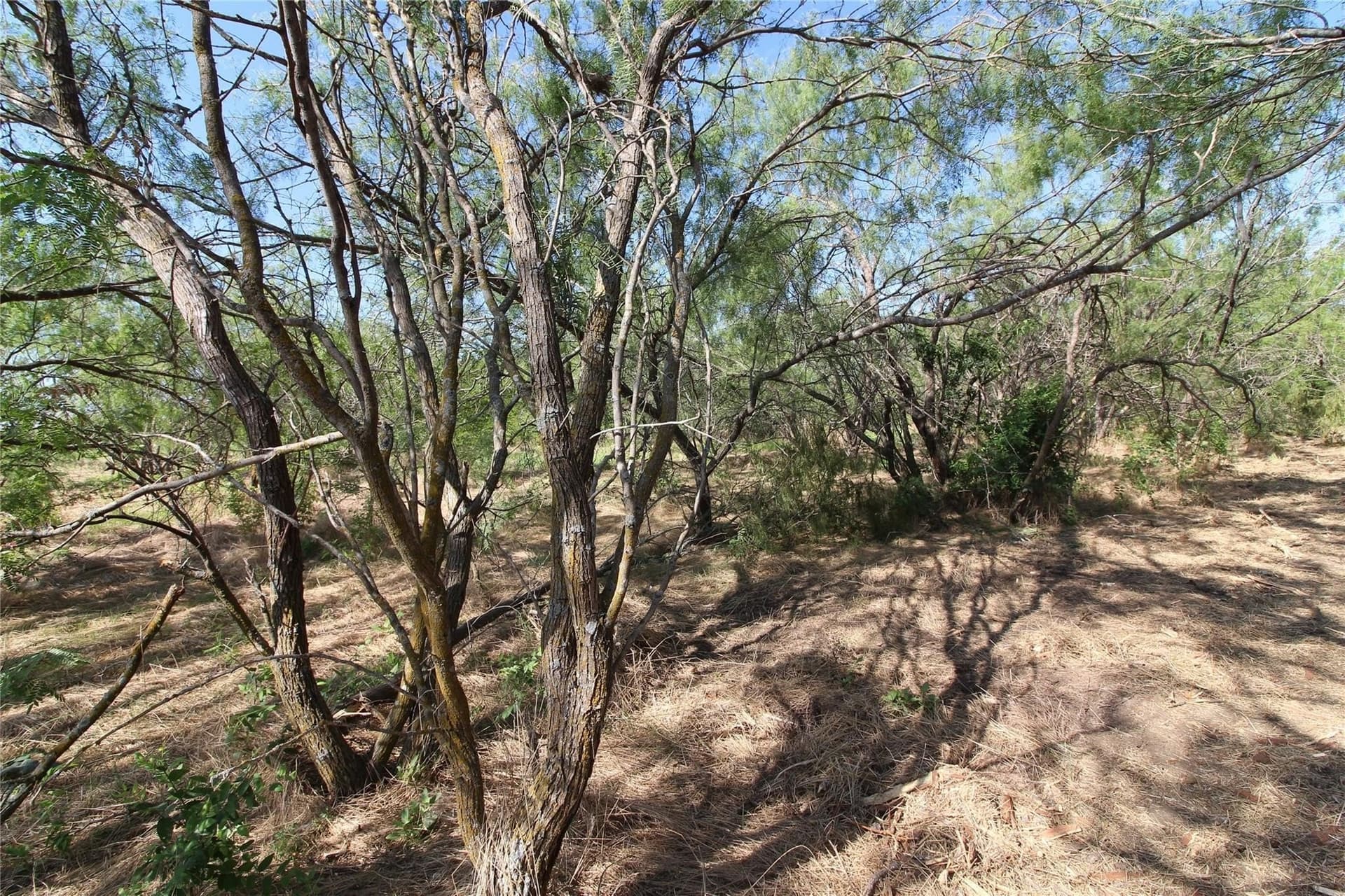 6.04 acres in Kaufman County - photo 26