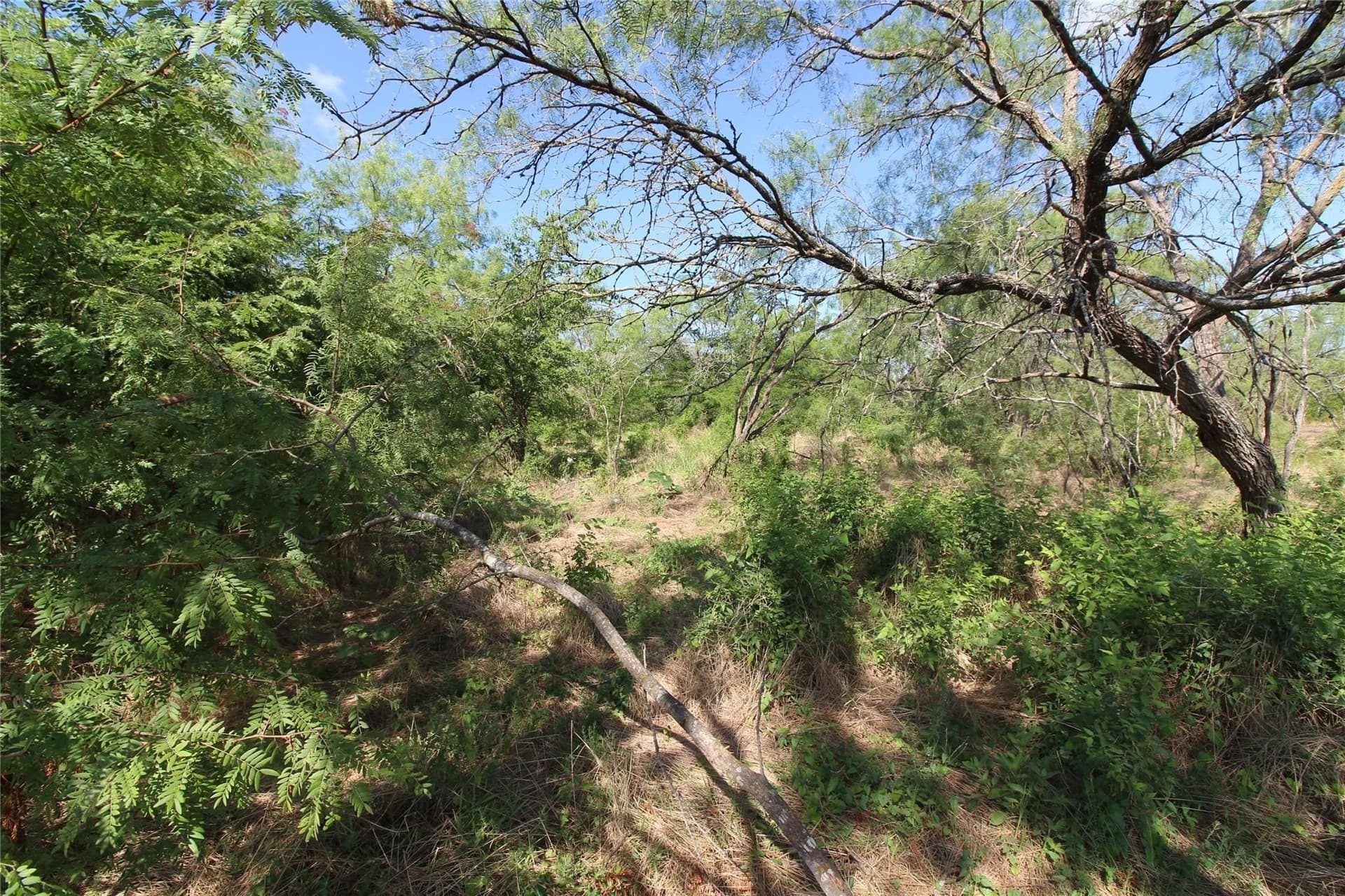 6.04 acres in Kaufman County - photo 12