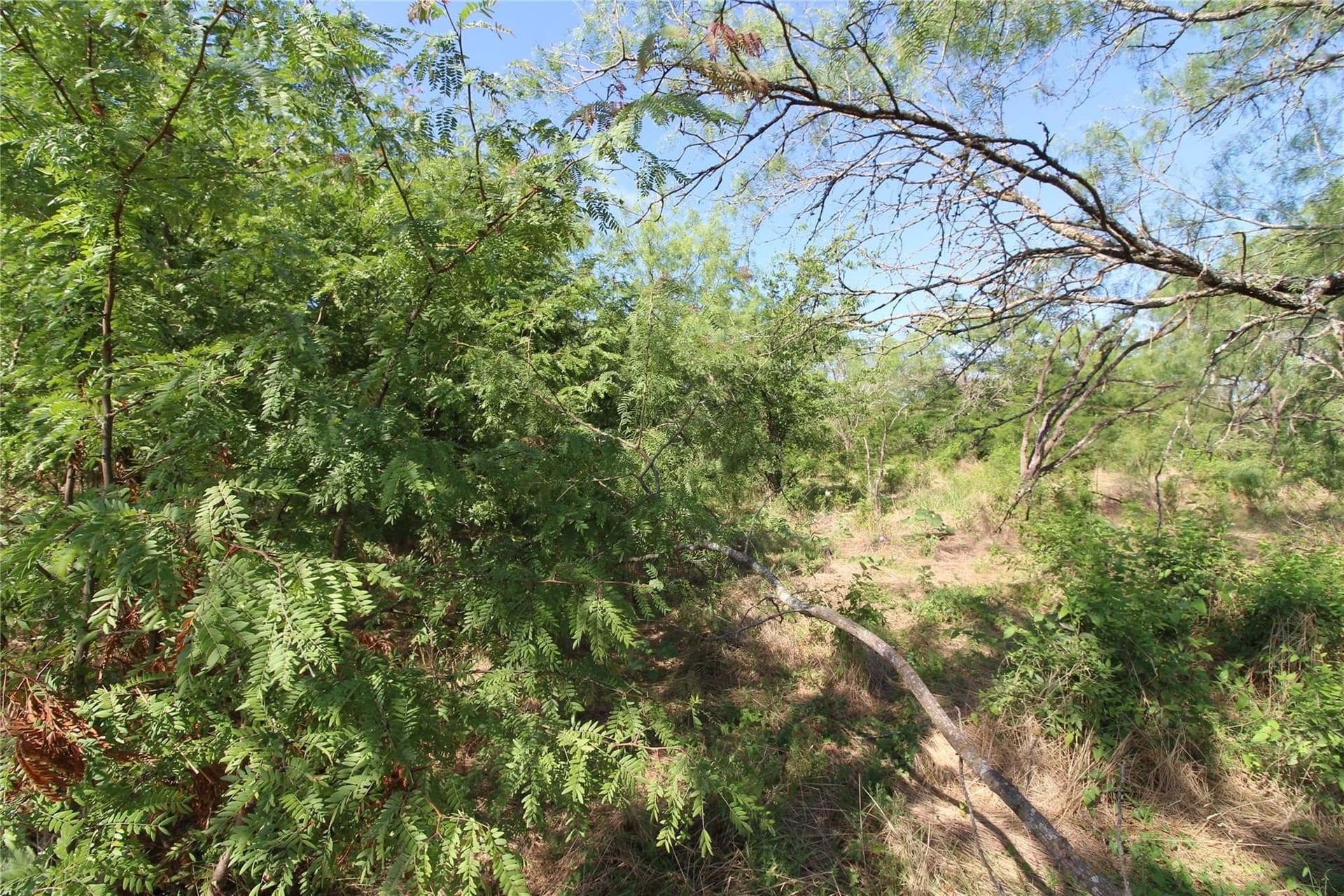 6.04 acres in Kaufman County - photo 9