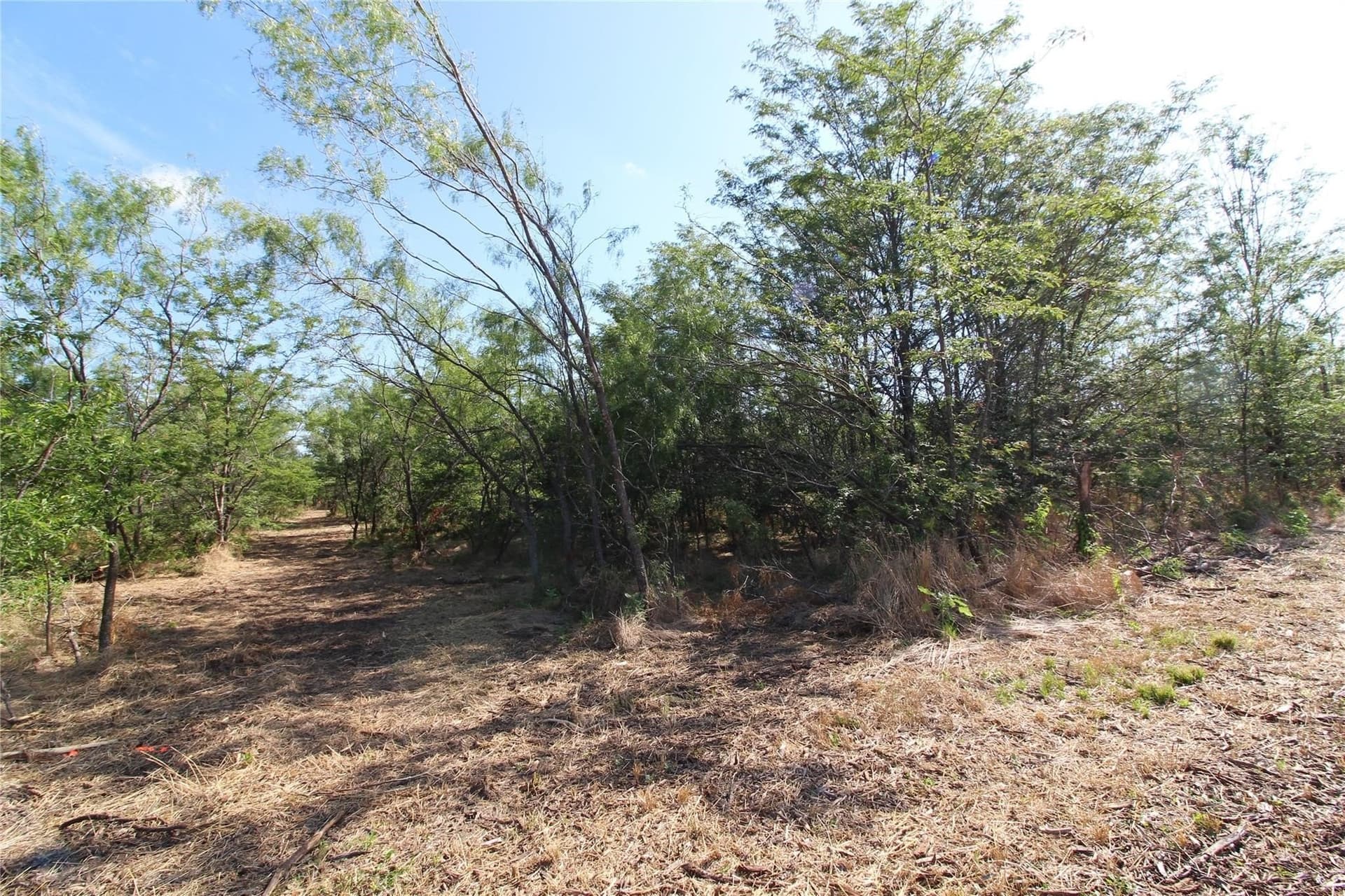 6.04 acres in Kaufman County - photo 14