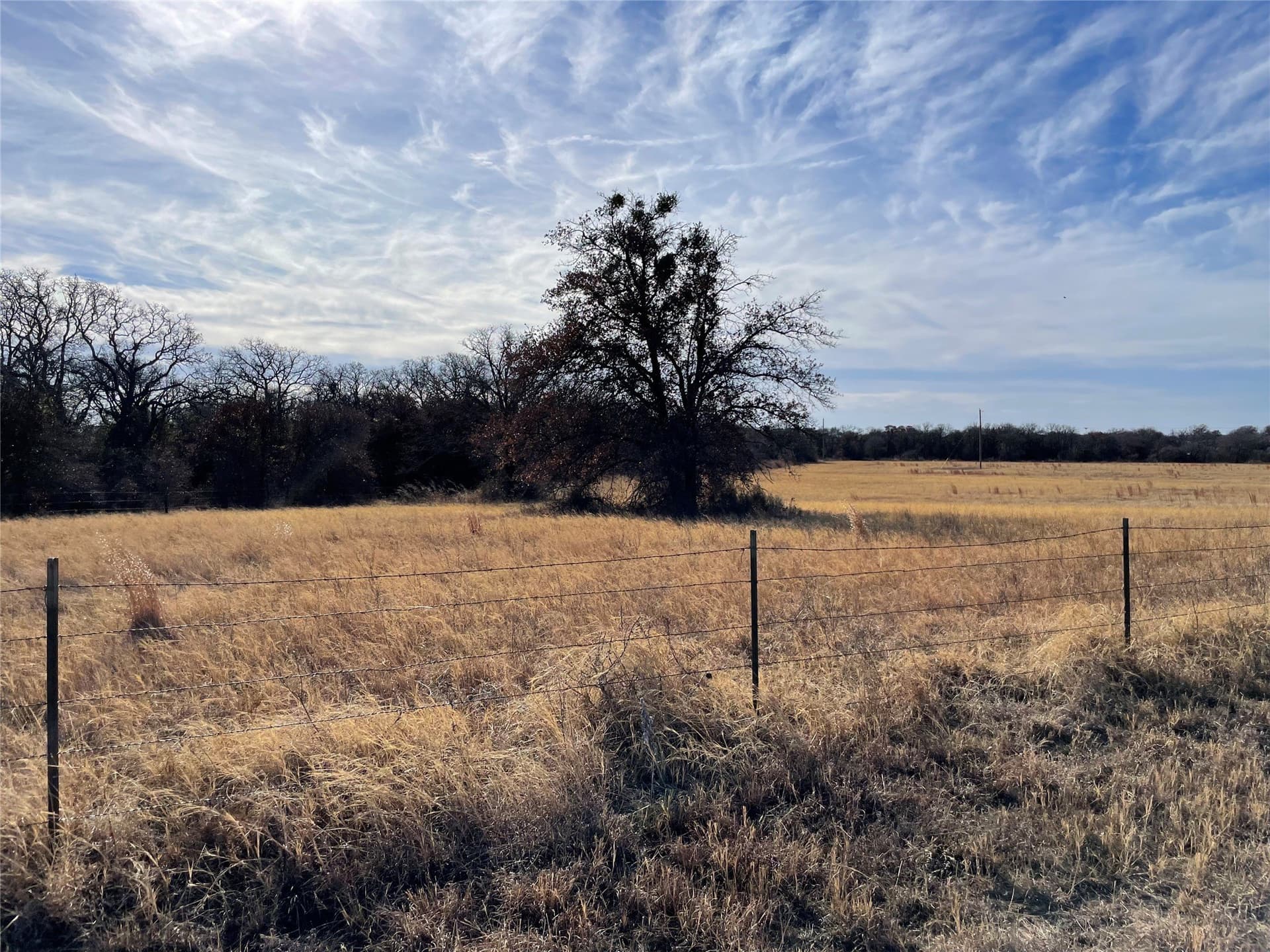 30.91 acres in Erath County - photo 11