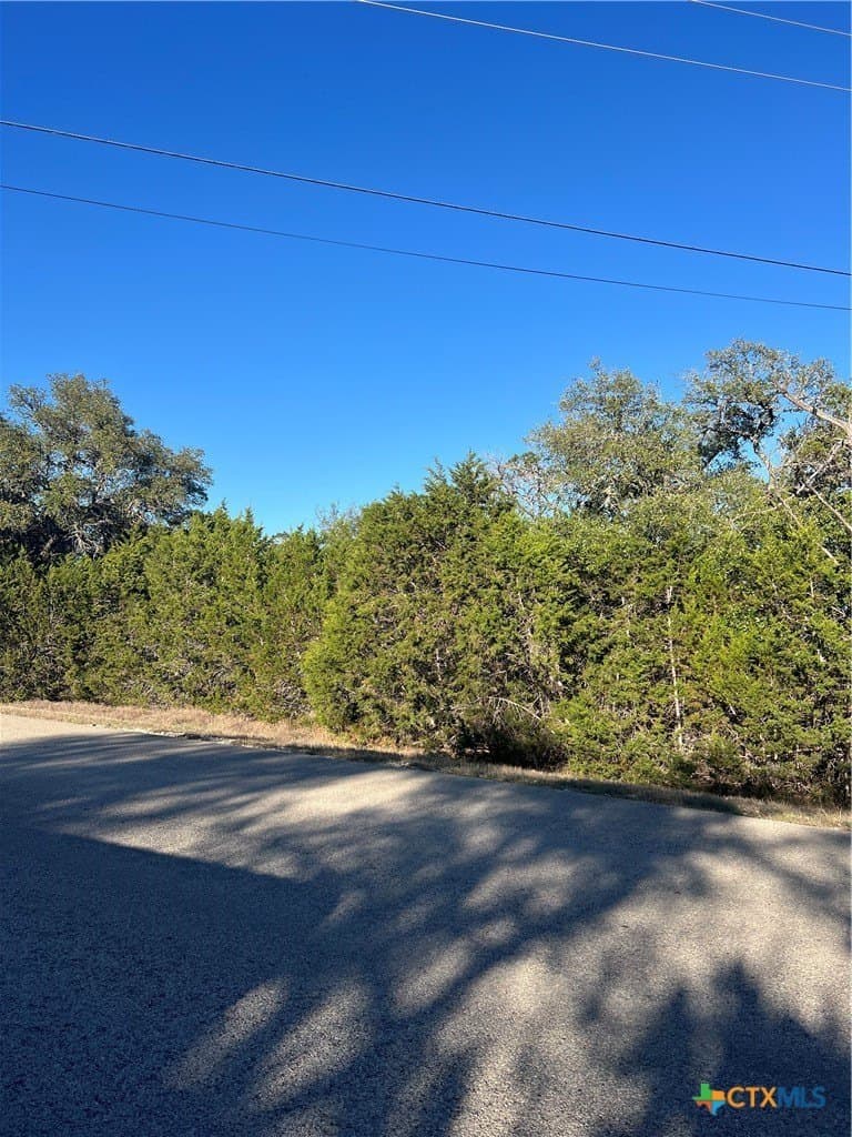 5 acres in Comal County gallery image 4