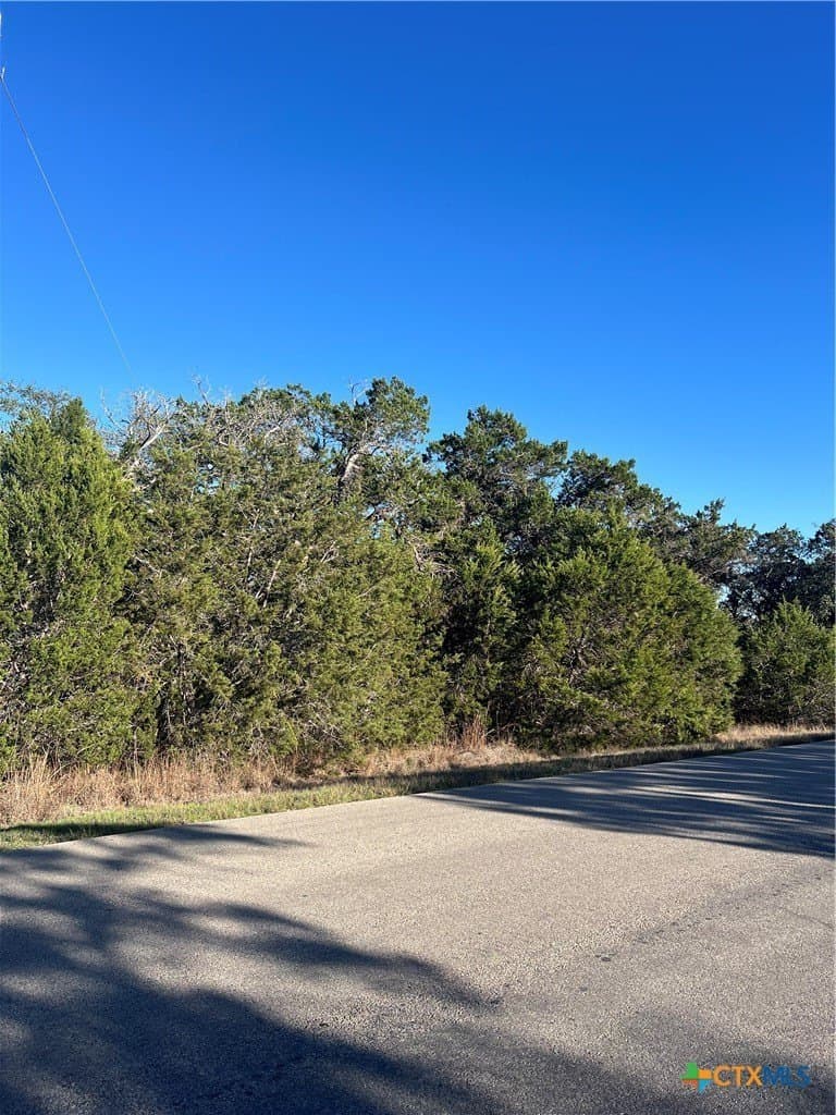 5 acres in Comal County gallery image 2